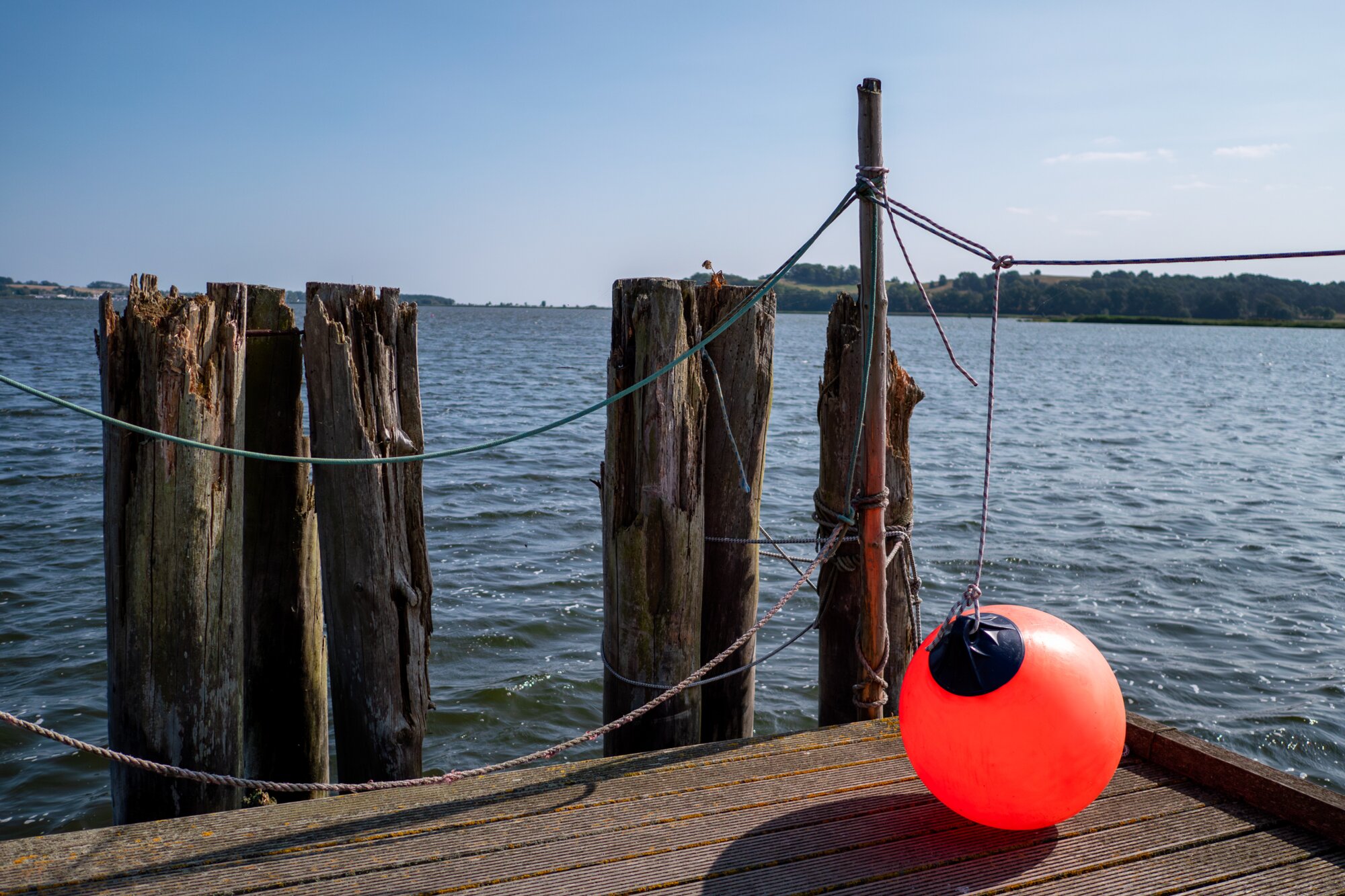 P1013181-Verbessert-RR-2_edit 