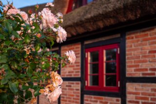 P1013272-Verbessert-RR