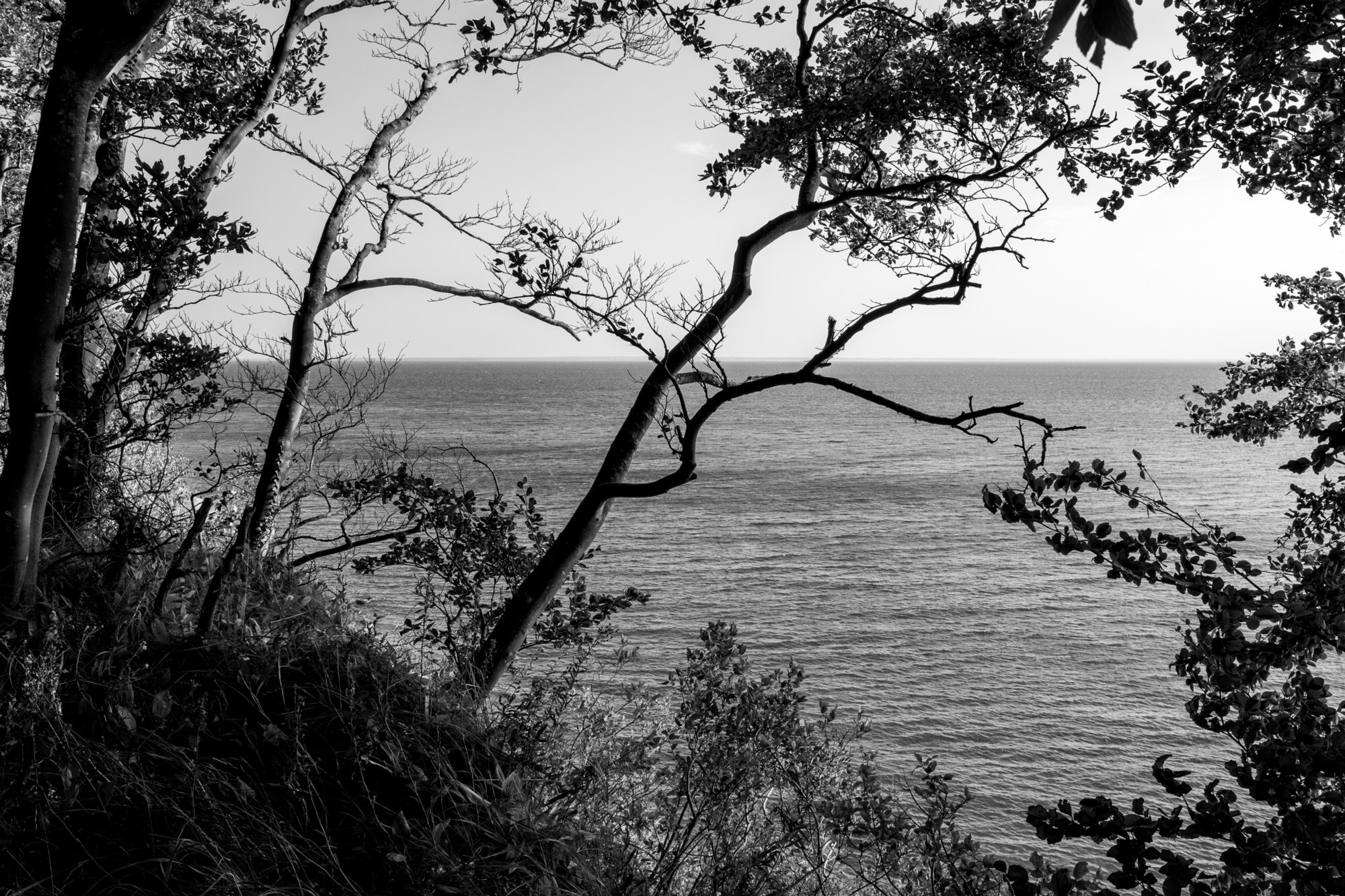 P1013216-Verbessert-RR-1 