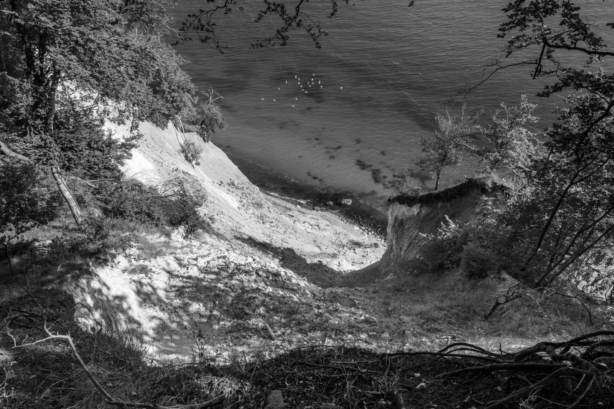 P1024386-Verbessert-RR 