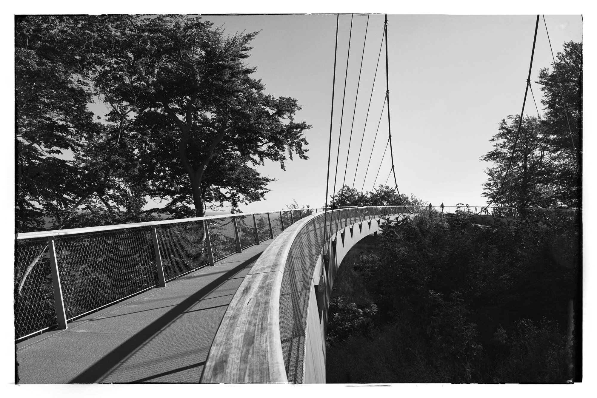 P1016569-01 