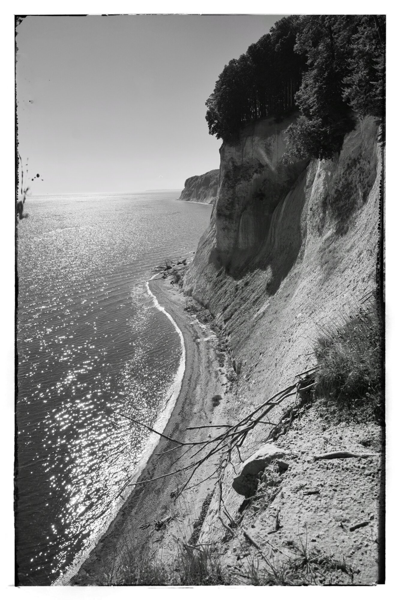 P1016647-01 