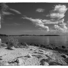 2025-08-30_Klein_Zicker