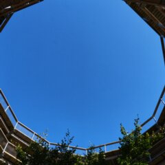 2025-09-08_Baumwipfelpfad