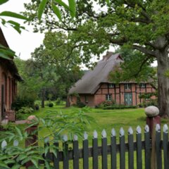 2025-09-10_Nistelitz