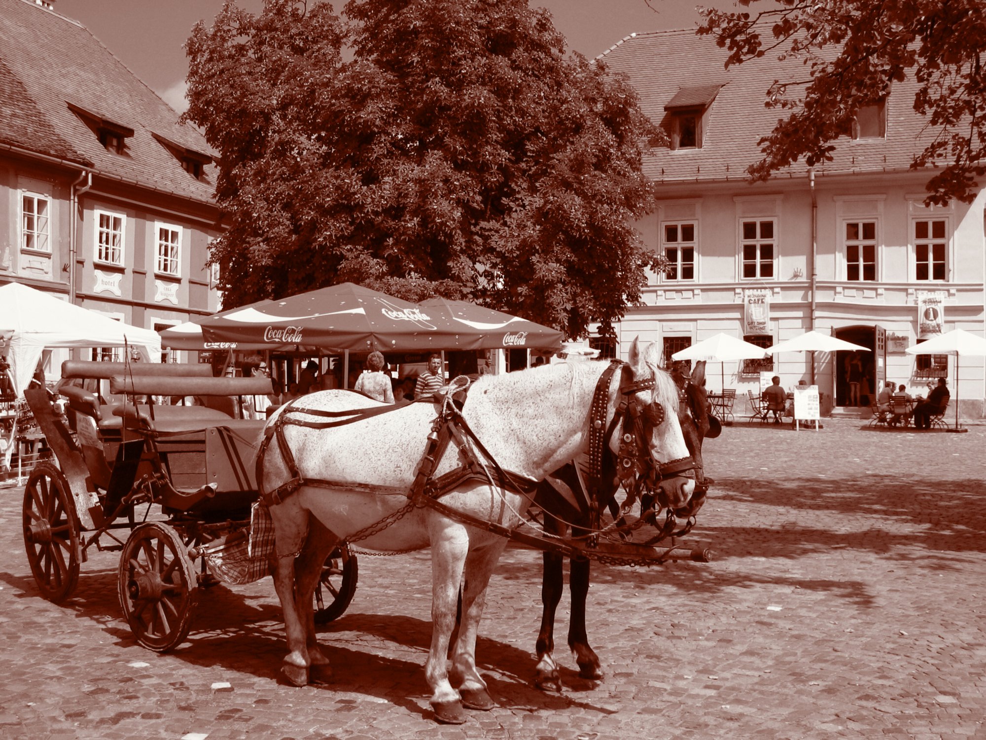 sepia007 Sighisoara in Sepia