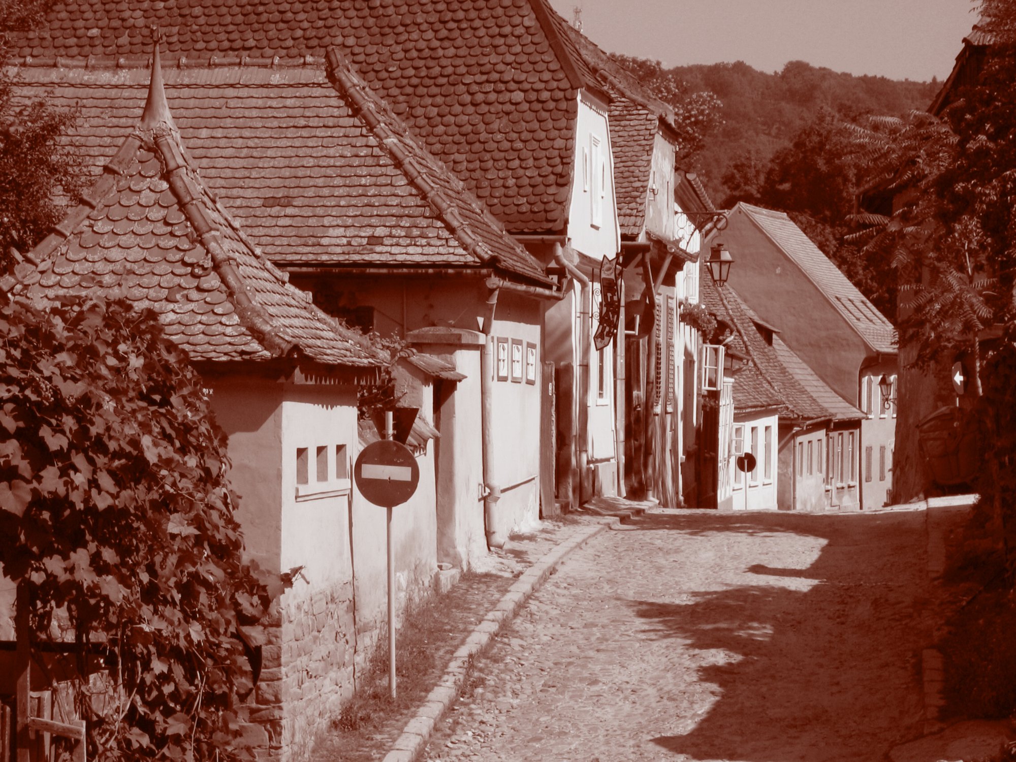 sepia076 Sighisoara in Sepia