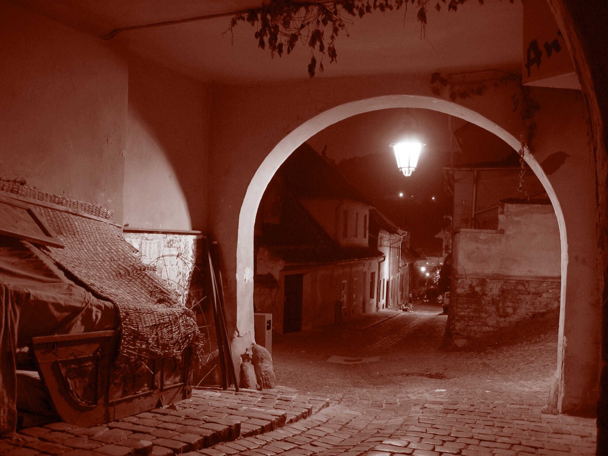 sepia144 Sighisoara in Sepia