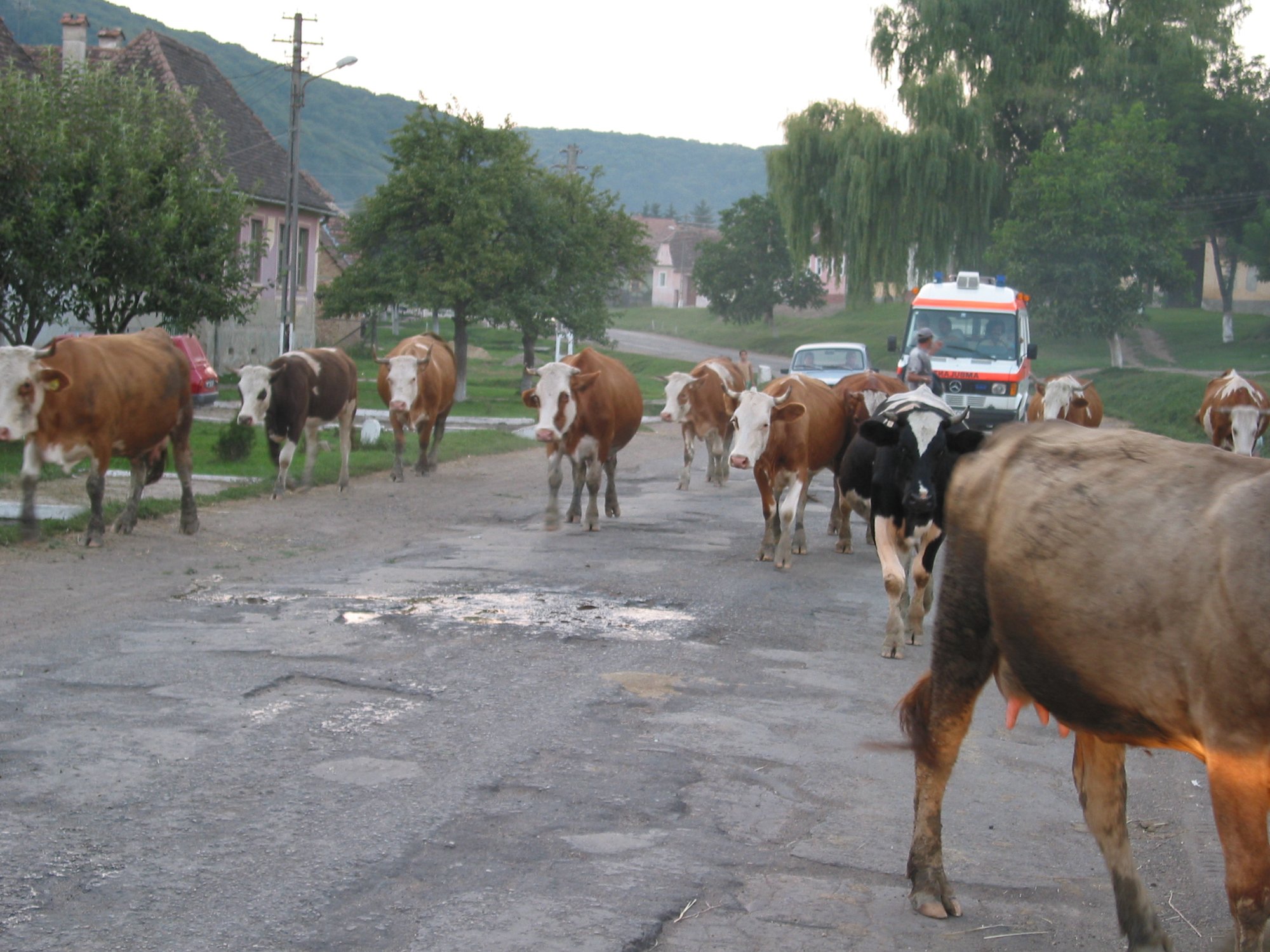 Straßen und Wege in Rumänien 2004 Straßen und Wege in Rumänien 2004