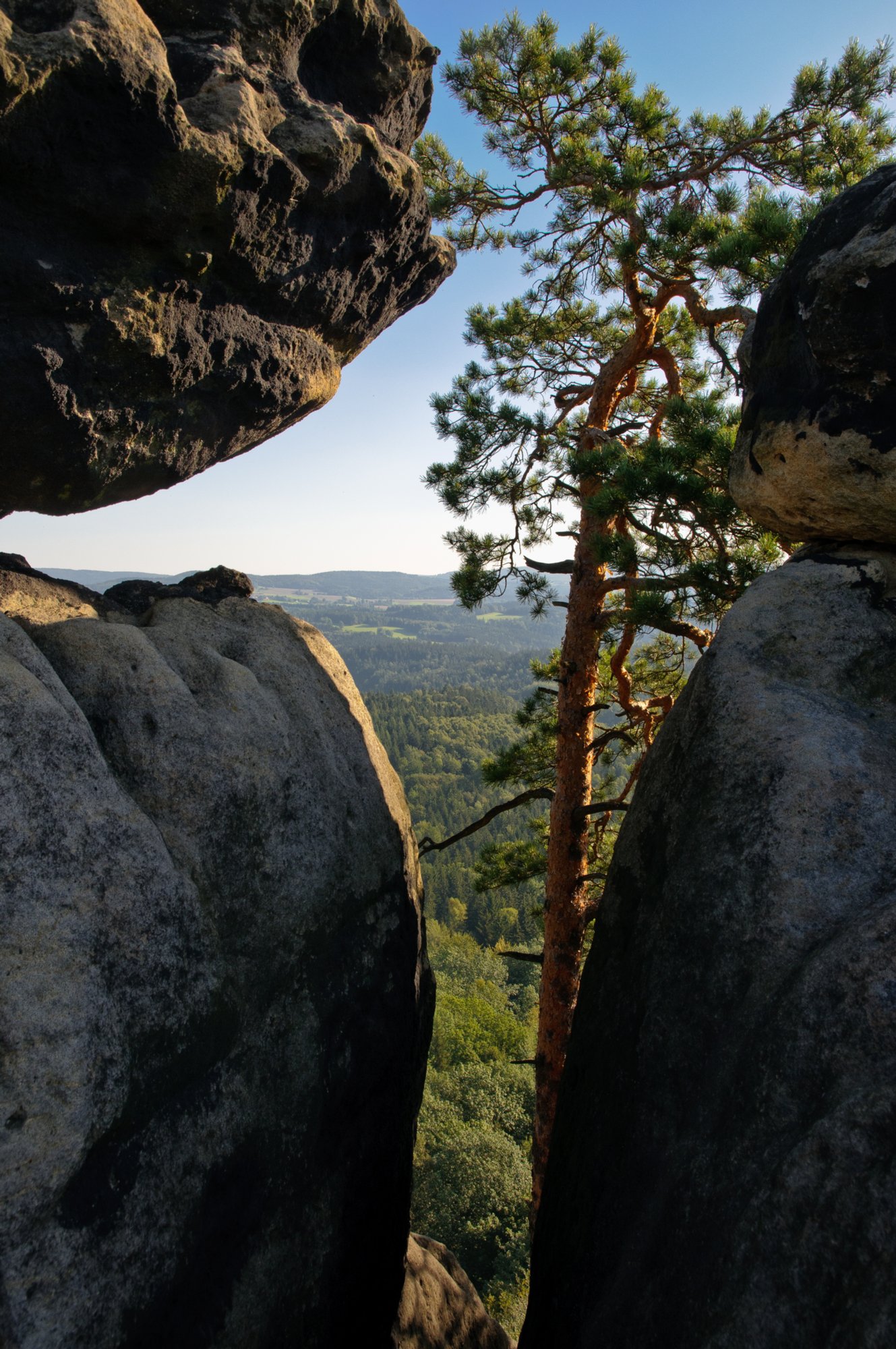 Sächsische Schweiz 2009 Wanderungvon Ostrau in die Schrammsteine und auf die Hohe Liebe. Auf dem Schrammsteingradweg. Blick zum Zschirnstein und Zirkelstein.