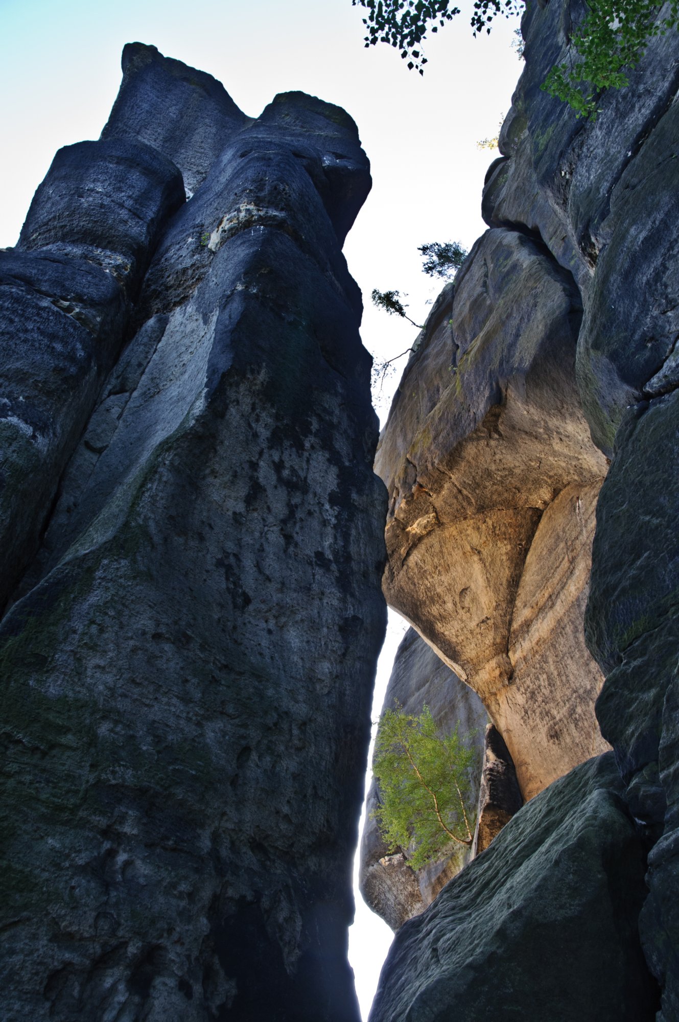 Sächsische Schweiz 2009 Wanderung vom Beutenfall über den Frienstein und den Carolafelsen zurück zum Beutenfall. Frienstein Der Frienstein, auch als Vorderes Raubschloss bezeichnet, ist ein etwa 130 m hoher Fels in der Sächsischen Schweiz. Er liegt am Nordabhang des Großen Winterbergs in den Affensteinen. Auf dem Felsen befand sich einst eine Burgwarte der Herrschaft Wildenstein. Heute ist der Frienstein ein beliebter Klettergipfel . Quelle: http://de.wikipedia.org/wiki/Frienstein