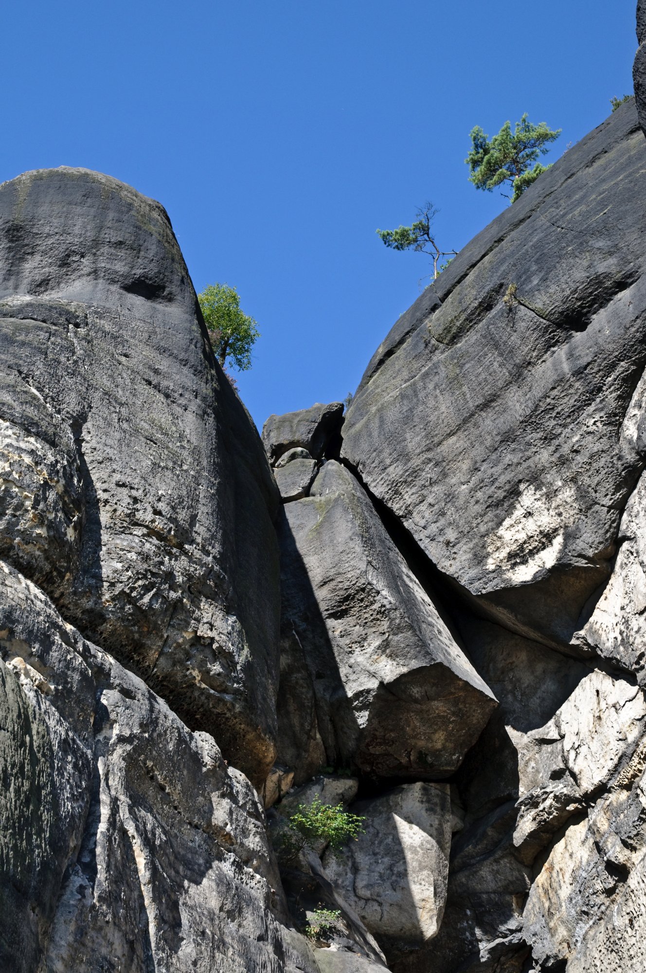 Sächsische Schweiz 2009 Wanderung vom Beutenfall über den Frienstein und den Carolafelsen zurück zum Beutenfall. Frienstein Der Frienstein, auch als Vorderes Raubschloss bezeichnet, ist ein etwa 130 m hoher Fels in der Sächsischen Schweiz. Er liegt am Nordabhang des Großen Winterbergs in den Affensteinen. Auf dem Felsen befand sich einst eine Burgwarte der Herrschaft Wildenstein. Heute ist der Frienstein ein beliebter Klettergipfel . Quelle: http://de.wikipedia.org/wiki/Frienstein