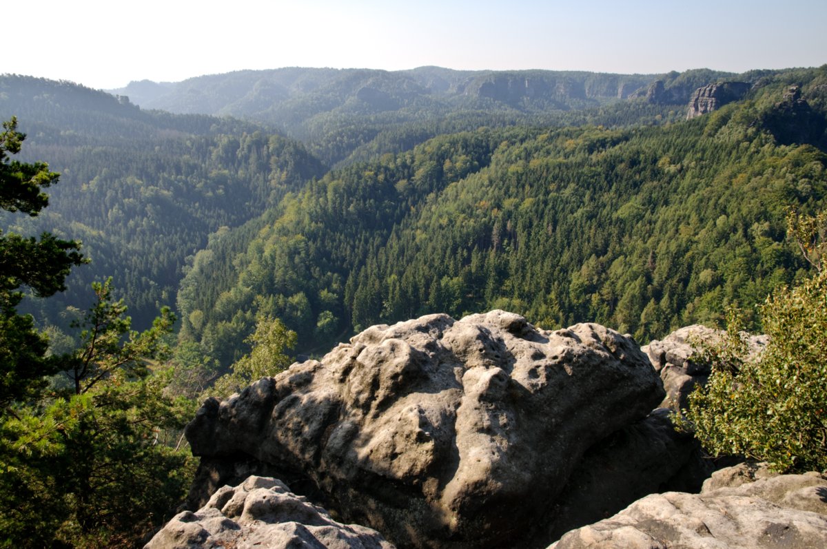 Sächsische Schweiz 2009 Auf alten Wanderwegen zum Teichstein: Buschmühle - Buschmüllers Räumicht - Neustelliger Hübel - Teichstein - Bärenfang - Zeuhaus - Buschmühle. Blick in den Großen Zschand. Unterhalb des Gipfels befindet sich das Zeughaus. Oberhalb des Zeughauses befindet sich der Goldstein.