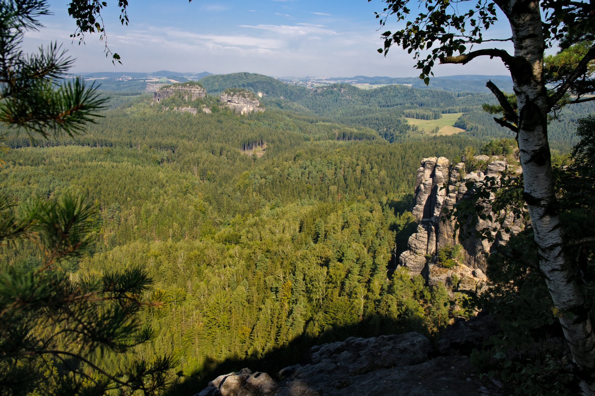 Sächsische Schweiz 2009 Auf alten Wanderwegen zum Teichstein: Buschmühle - Buschmüllers Räumicht - Neustelliger Hübel - Teichstein - Bärenfang - Zeuhaus - Buschmühle.