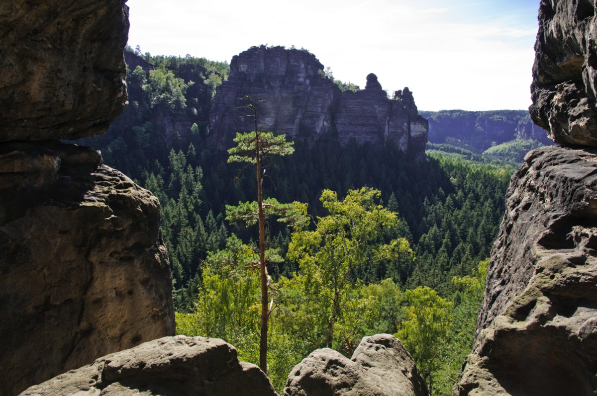 Sächsische Schweiz 2009 Wanderung über den Goldsteig und den Großen Winterberg zum Hinteren Raubschloss: Neumannssmühle - Zeughaus - Goldsteig - Richtergrotte - Großer Winterberg - Hinteres Raubschloss (Winterstein) - Neumannmühle. Blick zu den Pechofenhörnern.