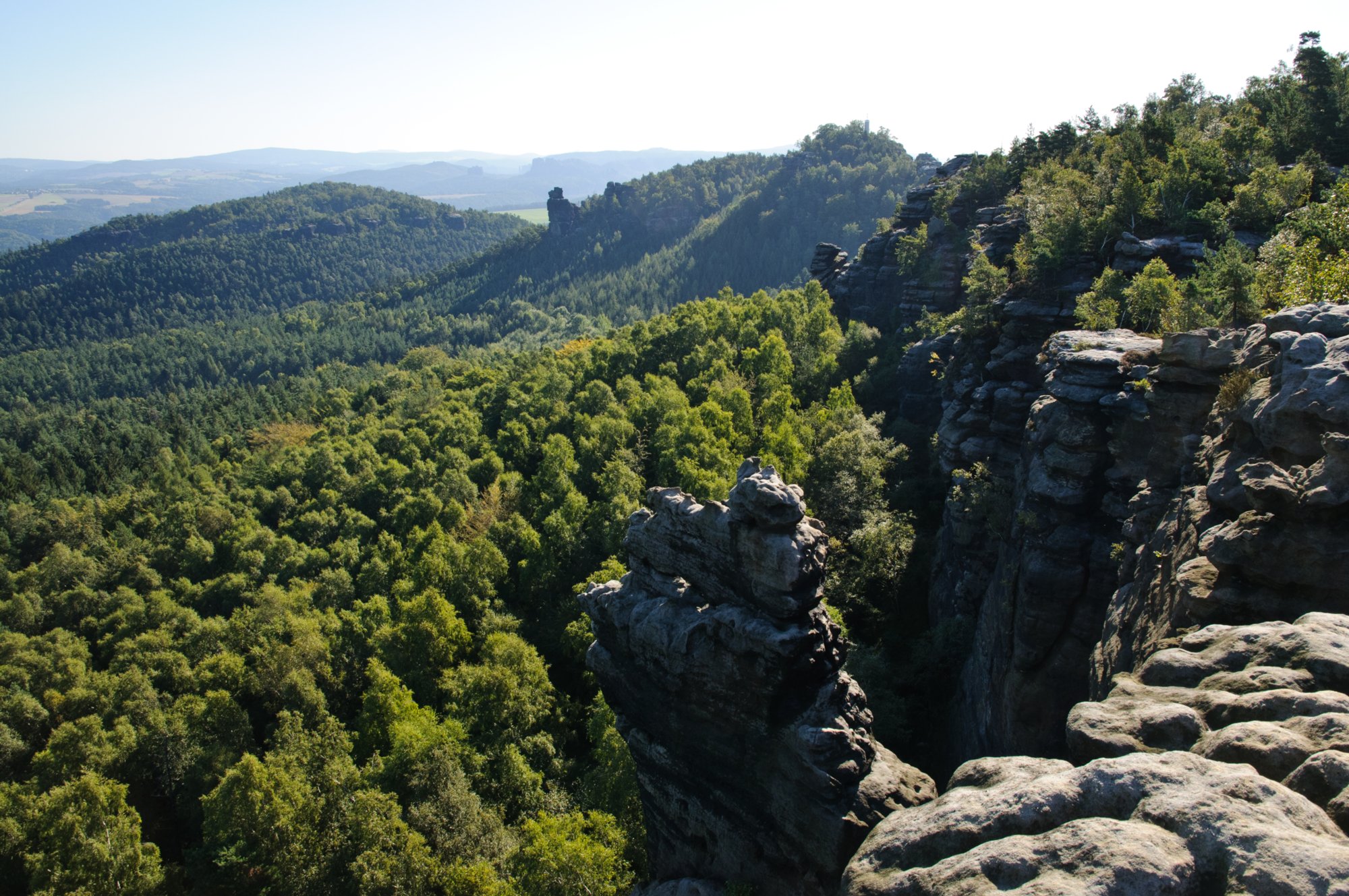 Sächsische Schweiz 2009 Wanderung vom Kurort Gohrisch über den Gohrischstein und den Pfaffenstein zurück nach Gohrisch. Blick zum Papststein. Im Hintergrund: (von links nach rechts) Schrammsteine, Bloßstock, Weifberg mit Turm, Falkenstein und Hohe Liebe.