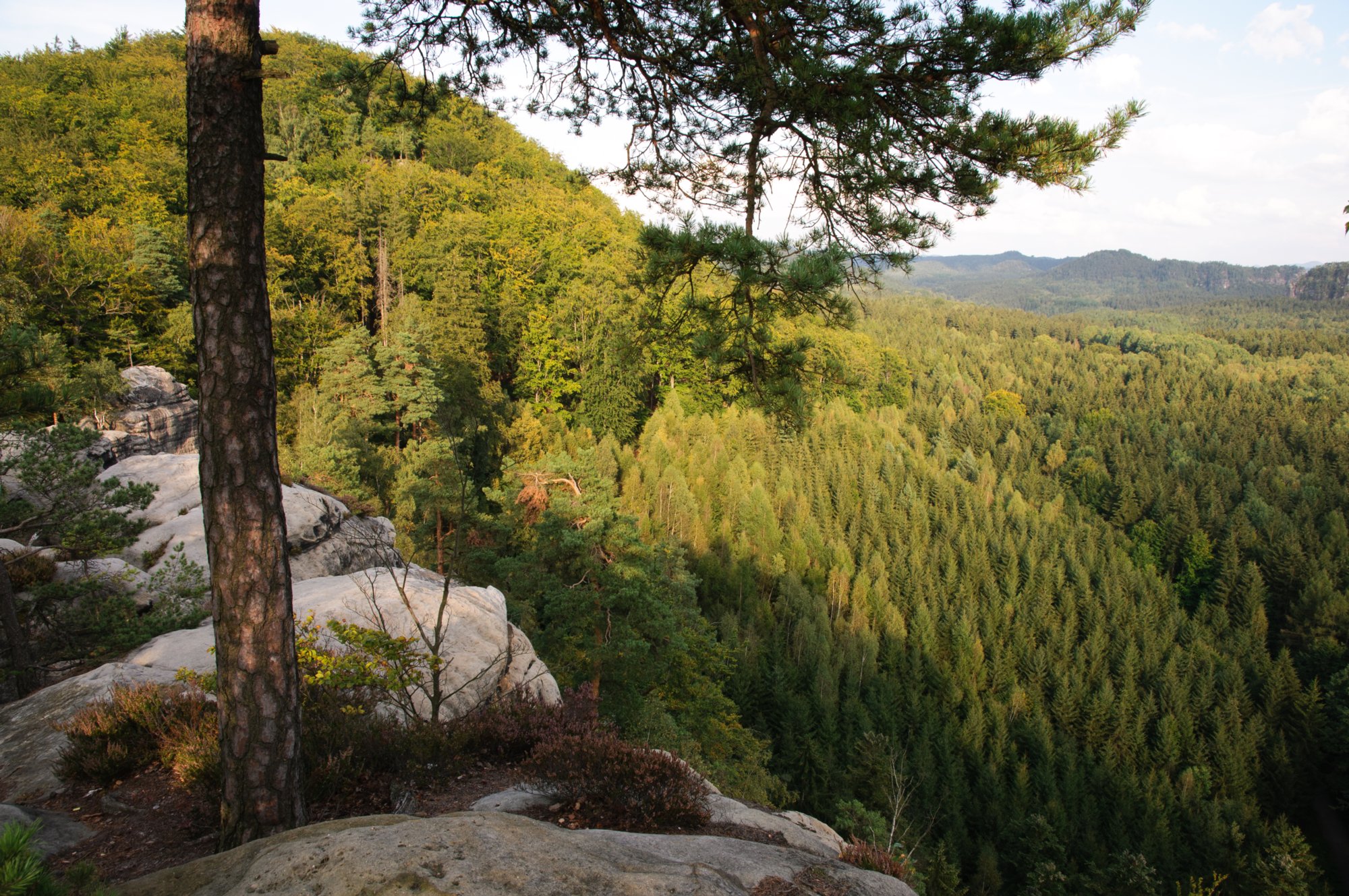 Sächsische Schweiz 2009 Wanderung vom Lichtenhainer Wasserfall zum Kuhstall und wieder zurück über das Kirnitzschtal.