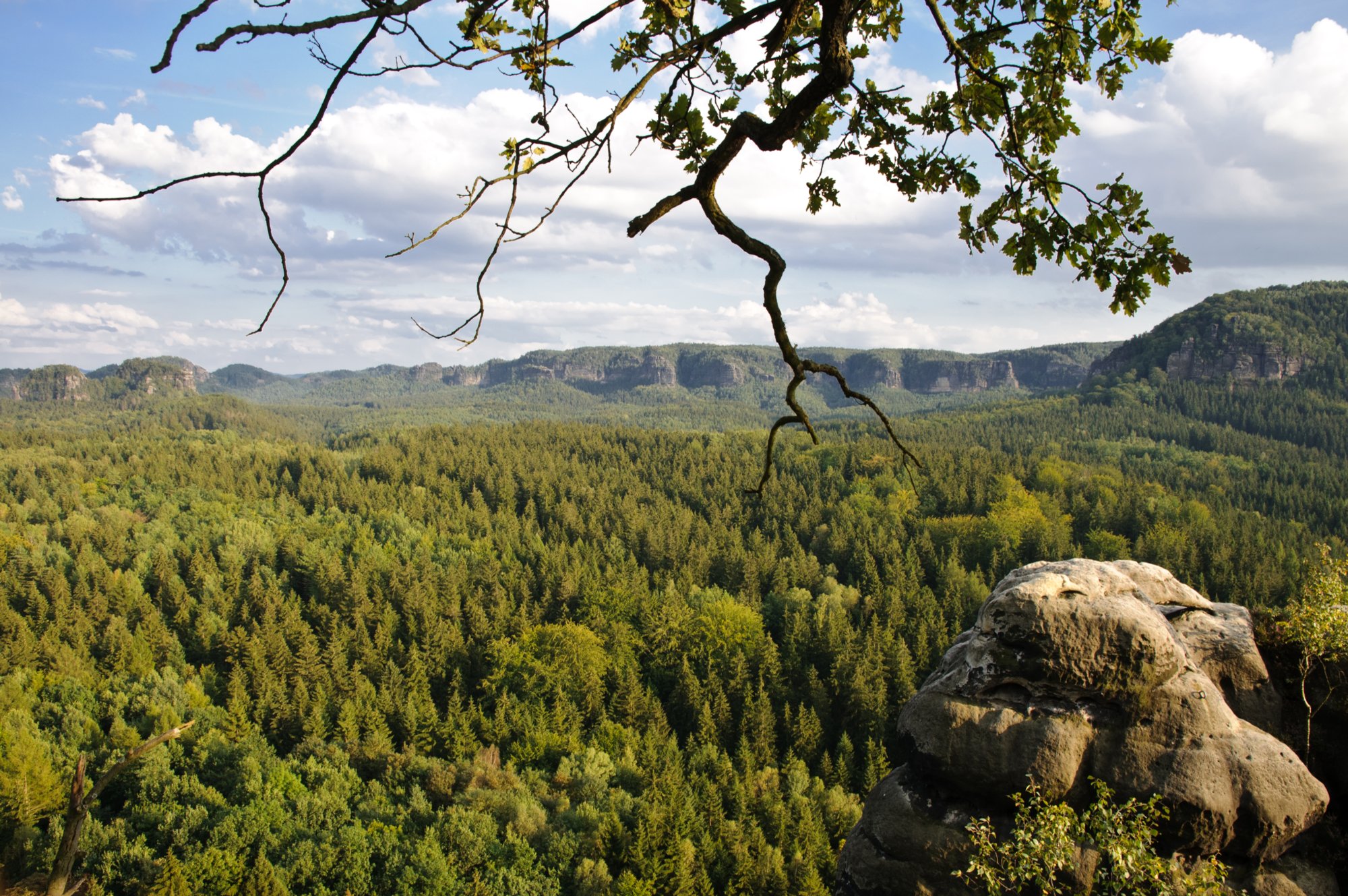 Sächsische Schweiz 2009 Wanderung vom Lichtenhainer Wasserfall zum Kuhstall und wieder zurück über das Kirnitzschtal. Blick Richtung Großer Zschand. Als Kuhstall wird das nach dem Prebischtor zweitgrößte Felsentor des Elbsandsteingebirges bezeichnet. Es befindet sich auf dem Neuen Wildenstein, einem 337 m hohen, im 15. Jahrhundert von der Burg Wildenstein beherrschten Felsen der hinteren Sächsischen Schweiz südlich des Lichtenhainer Wasserfalls und oberhalb des Kirnitzschtales. Das Felsenfenster ist 11 m hoch, 17 m breit und 24 m tief. Der Name Kuhstall wird auf zwei mögliche Ursachen zurückgeführt. Zum einen versteckte die Bevölkerung der umliegenden Orte während des Dreißigjährigen Kriegs in dem sehr breiten Felsentor ihr Vieh vor marodierenden schwedischen Soldaten. Zum anderen wird vermutet, dass bereits die Bewohner der mittelalterlichen Burg, die zum Schluss zu einem Raubritternest verkommen war, dort das Vieh unterbrachten, das sie bei ihren Raubzügen erbeuteten. Quelle: http://de.wikipedia.org/wiki/Kuhstall_Sähsische_Schweiz)