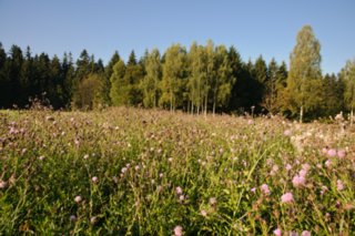 20090828_082131
