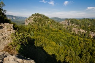 20090828_093851-bearb
