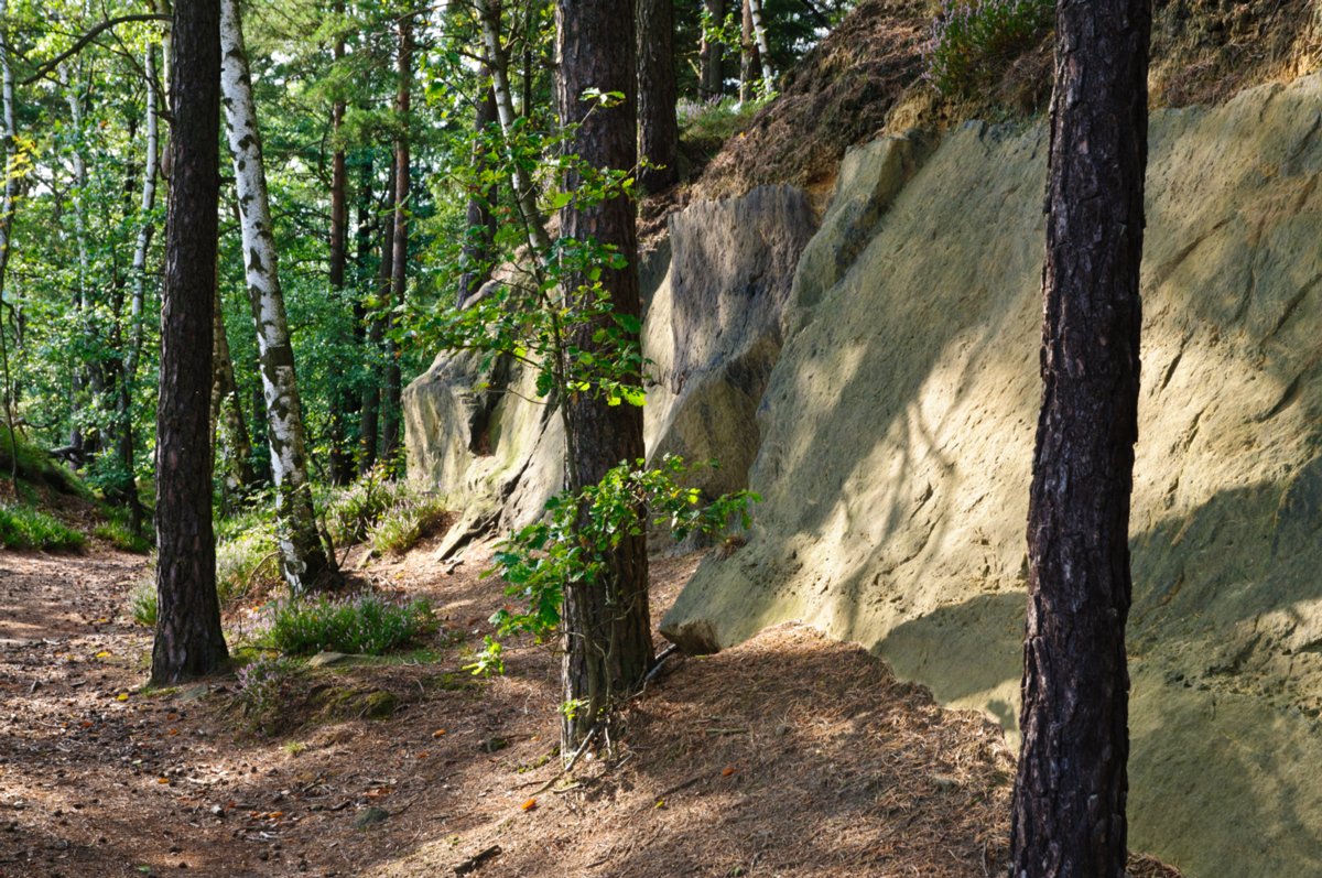 Großsteinwanderung Wanderung von der Felsenmühle über den Großstein und die Neumannmühle zurück zur Felsenmühle.