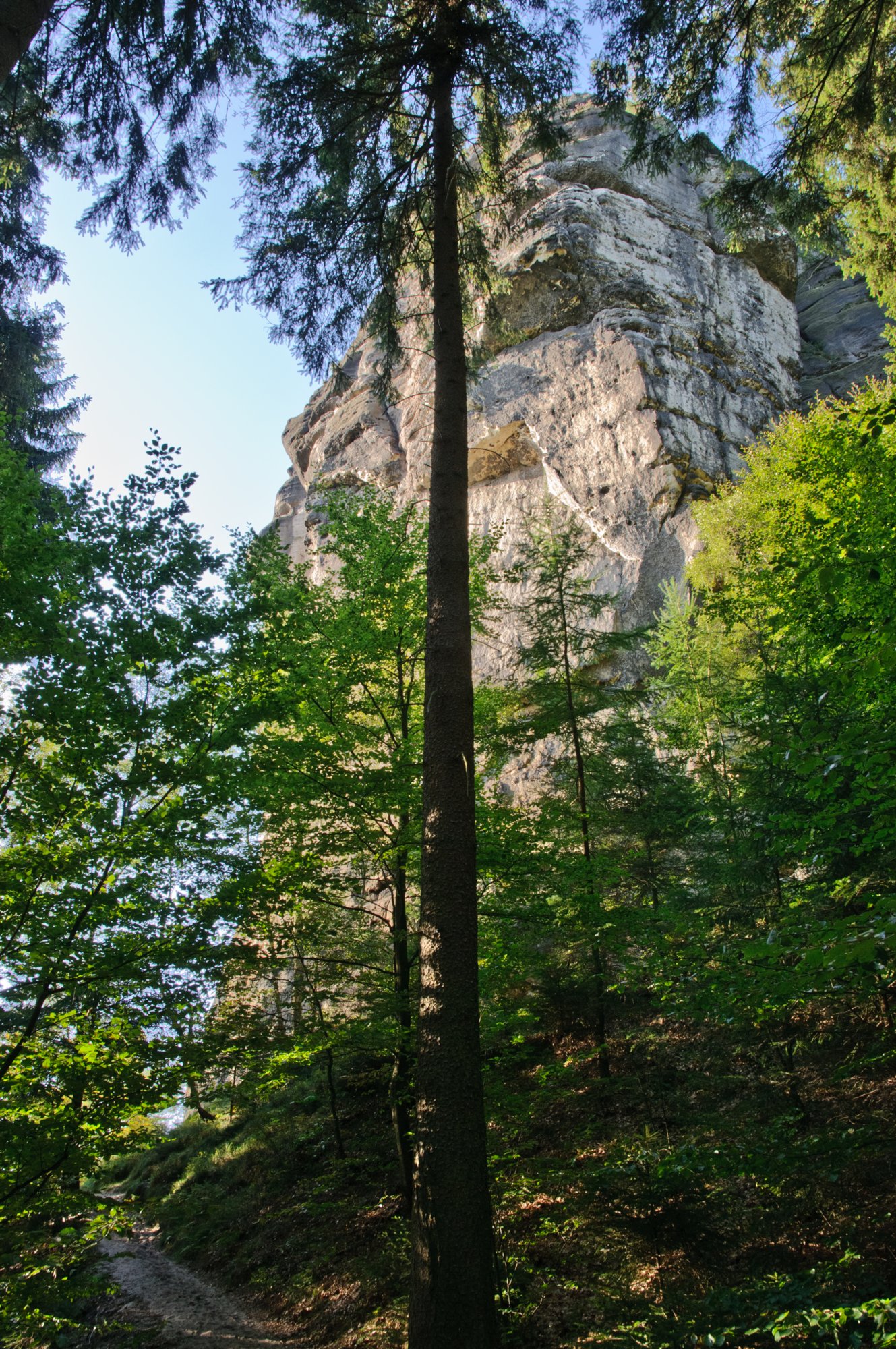 Wanderung zum Hinteren Raubschloß Wanderung über den Goldsteig und den Großen Winterberg zum Hinteren Raubschloss: Neumannssmühle - Zeughaus - Goldsteig - Richtergrotte - Großer Winterberg - Hinteres Raubschloss (Winterstein) - Neumannmühle. Weniger ein Steig ist der Goldsteig eigentlich mehr ein Höhenweg, der sich unterhalb des Goldsteins beginnend ohne große Höhenunterschiede bis hin zur Richtergrotte immer am Felsmassiv entlang schlängelt. Zwischendurch bieten sich immer wieder schöne Blicke und finden sich idyllische Plätzchen. http://www.wanderpfade.de