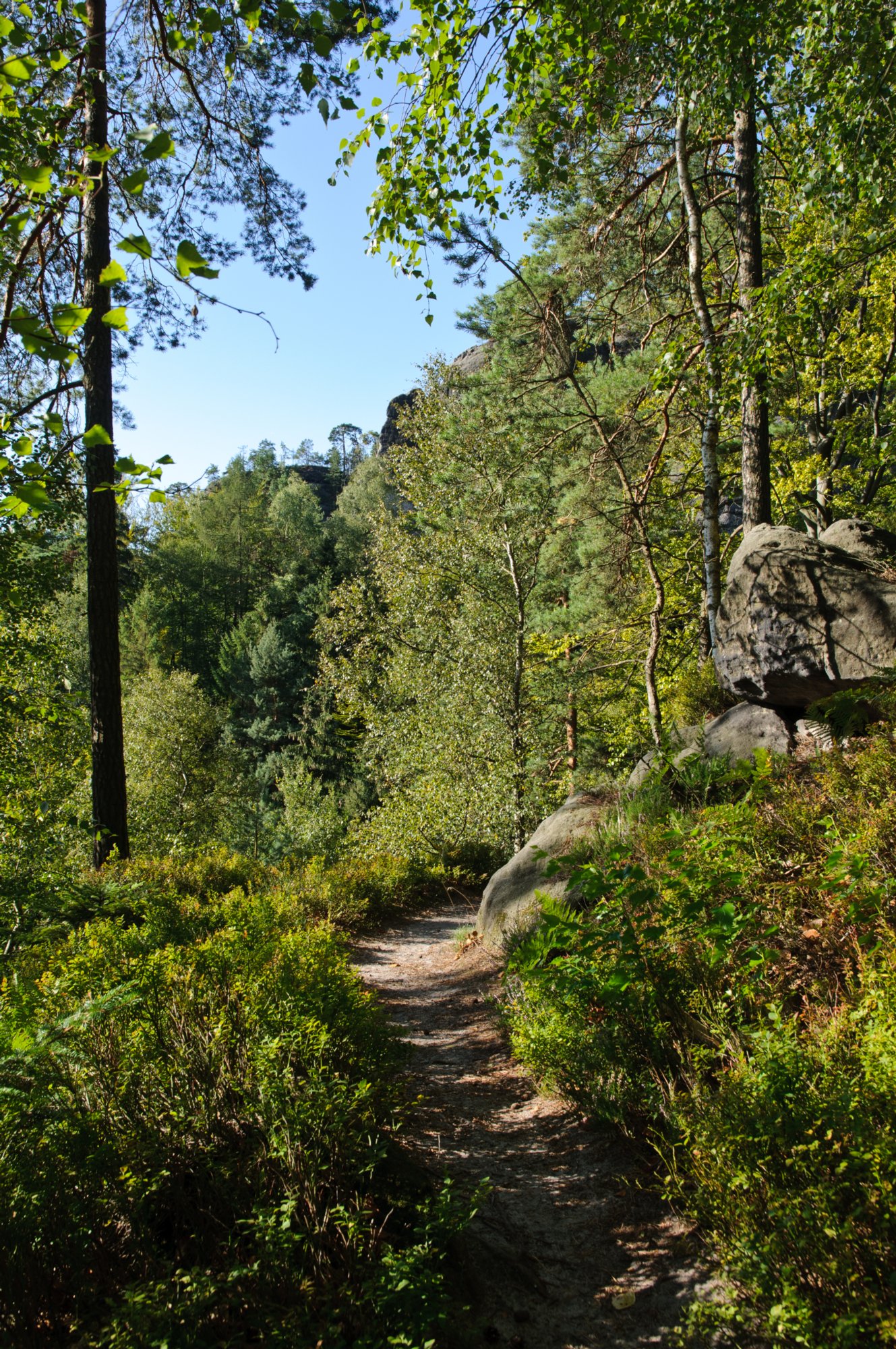 Wanderung zum Hinteren Raubschloß Wanderung über den Goldsteig und den Großen Winterberg zum Hinteren Raubschloss: Neumannssmühle - Zeughaus - Goldsteig - Richtergrotte - Großer Winterberg - Hinteres Raubschloss (Winterstein) - Neumannmühle. Weniger ein Steig ist der Goldsteig eigentlich mehr ein Höhenweg, der sich unterhalb des Goldsteins beginnend ohne große Höhenunterschiede bis hin zur Richtergrotte immer am Felsmassiv entlang schlängelt. Zwischendurch bieten sich immer wieder schöne Blicke und finden sich idyllische Plätzchen. http://www.wanderpfade.de