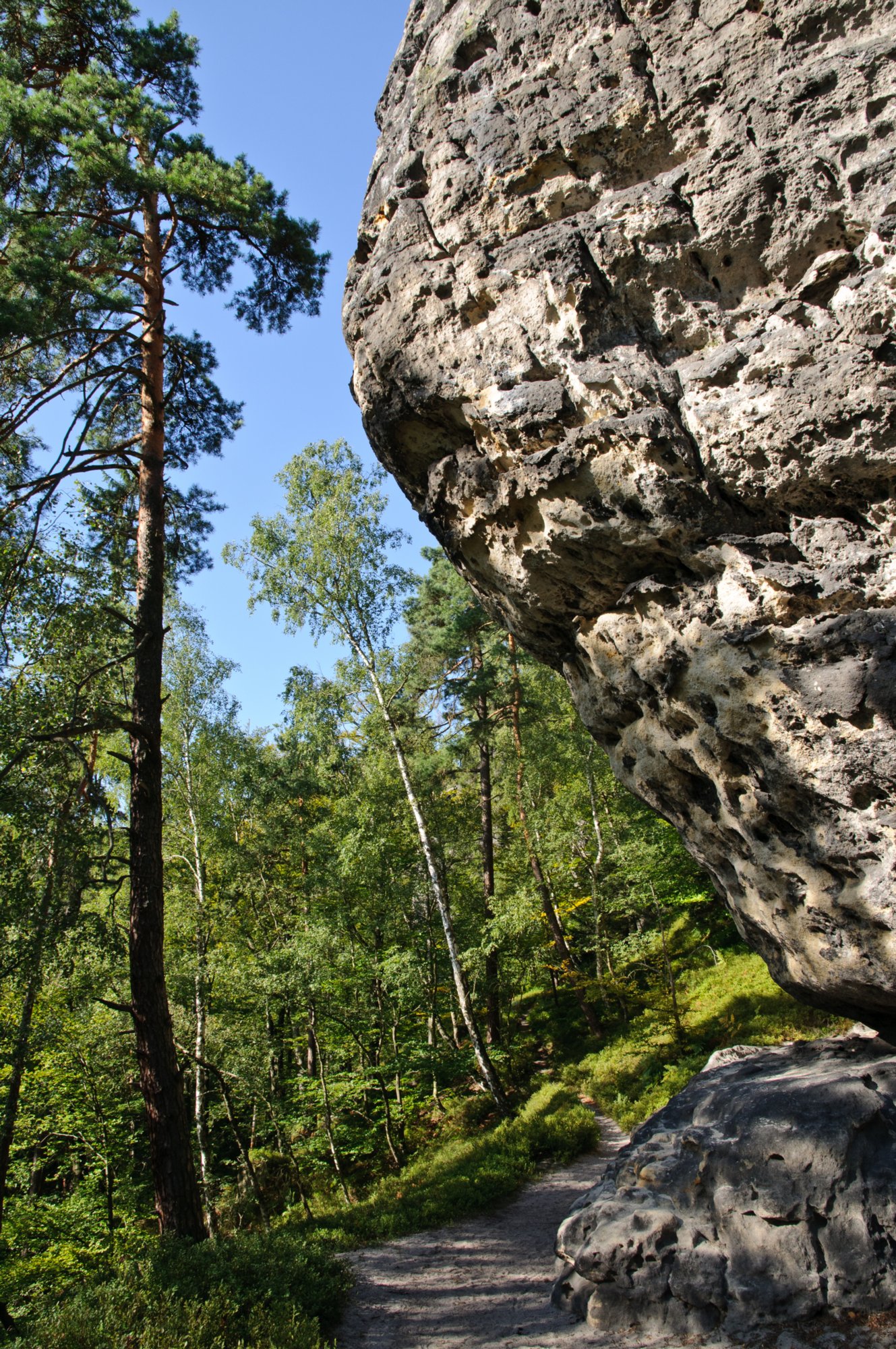 Wanderung zum Hinteren Raubschloß Wanderung über den Goldsteig und den Großen Winterberg zum Hinteren Raubschloss: Neumannssmühle - Zeughaus - Goldsteig - Richtergrotte - Großer Winterberg - Hinteres Raubschloss (Winterstein) - Neumannmühle. Weniger ein Steig ist der Goldsteig eigentlich mehr ein Höhenweg, der sich unterhalb des Goldsteins beginnend ohne große Höhenunterschiede bis hin zur Richtergrotte immer am Felsmassiv entlang schlängelt. Zwischendurch bieten sich immer wieder schöne Blicke und finden sich idyllische Plätzchen. http://www.wanderpfade.de