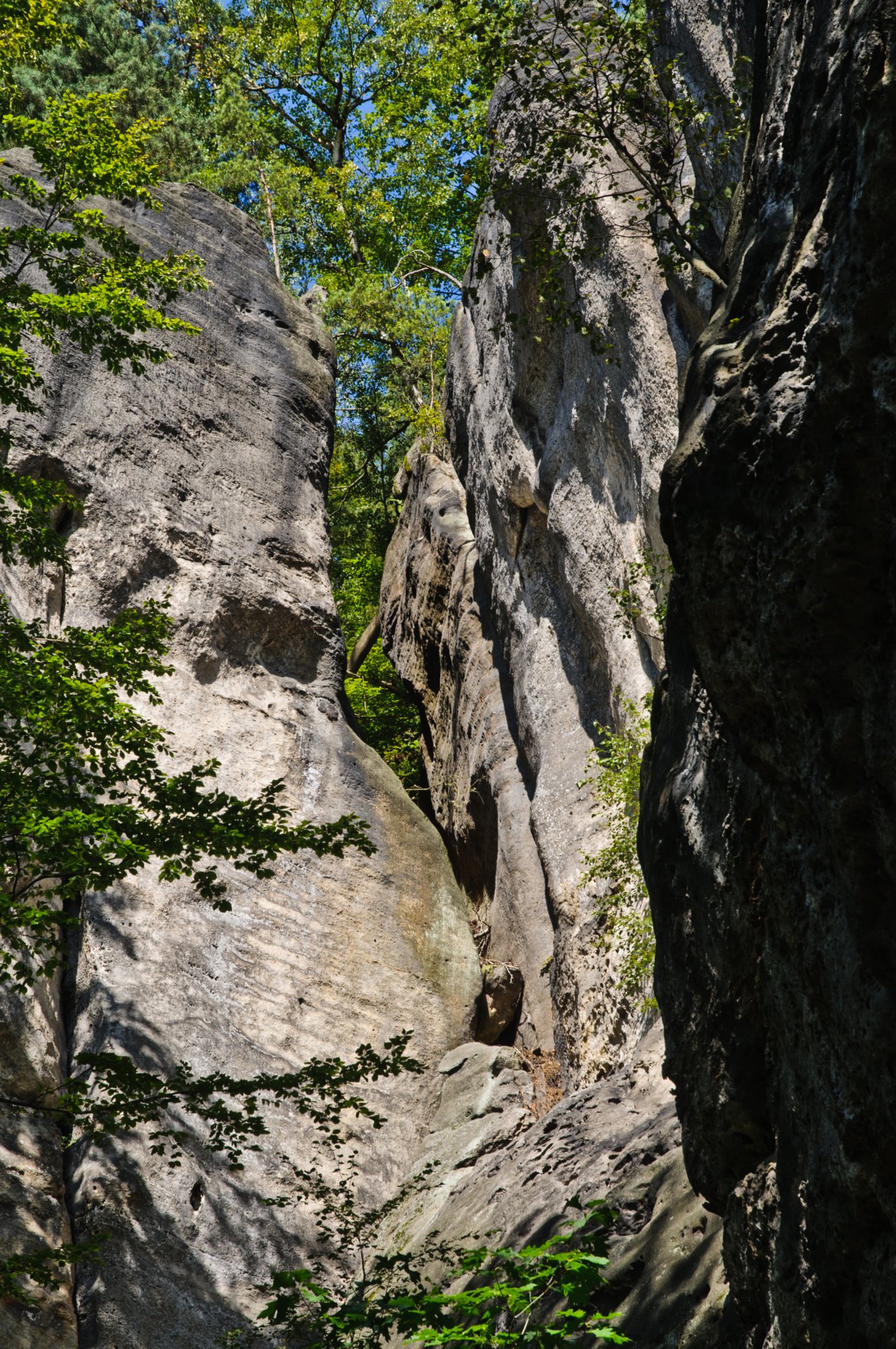 Wanderung zum Hinteren Raubschloß Wanderung über den Goldsteig und den Großen Winterberg zum Hinteren Raubschloss: Neumannssmühle - Zeughaus - Goldsteig - Richtergrotte - Großer Winterberg - Hinteres Raubschloss (Winterstein) - Neumannmühle. Weniger ein Steig ist der Goldsteig eigentlich mehr ein Höhenweg, der sich unterhalb des Goldsteins beginnend ohne große Höhenunterschiede bis hin zur Richtergrotte immer am Felsmassiv entlang schlängelt. Zwischendurch bieten sich immer wieder schöne Blicke und finden sich idyllische Plätzchen. http://www.wanderpfade.de