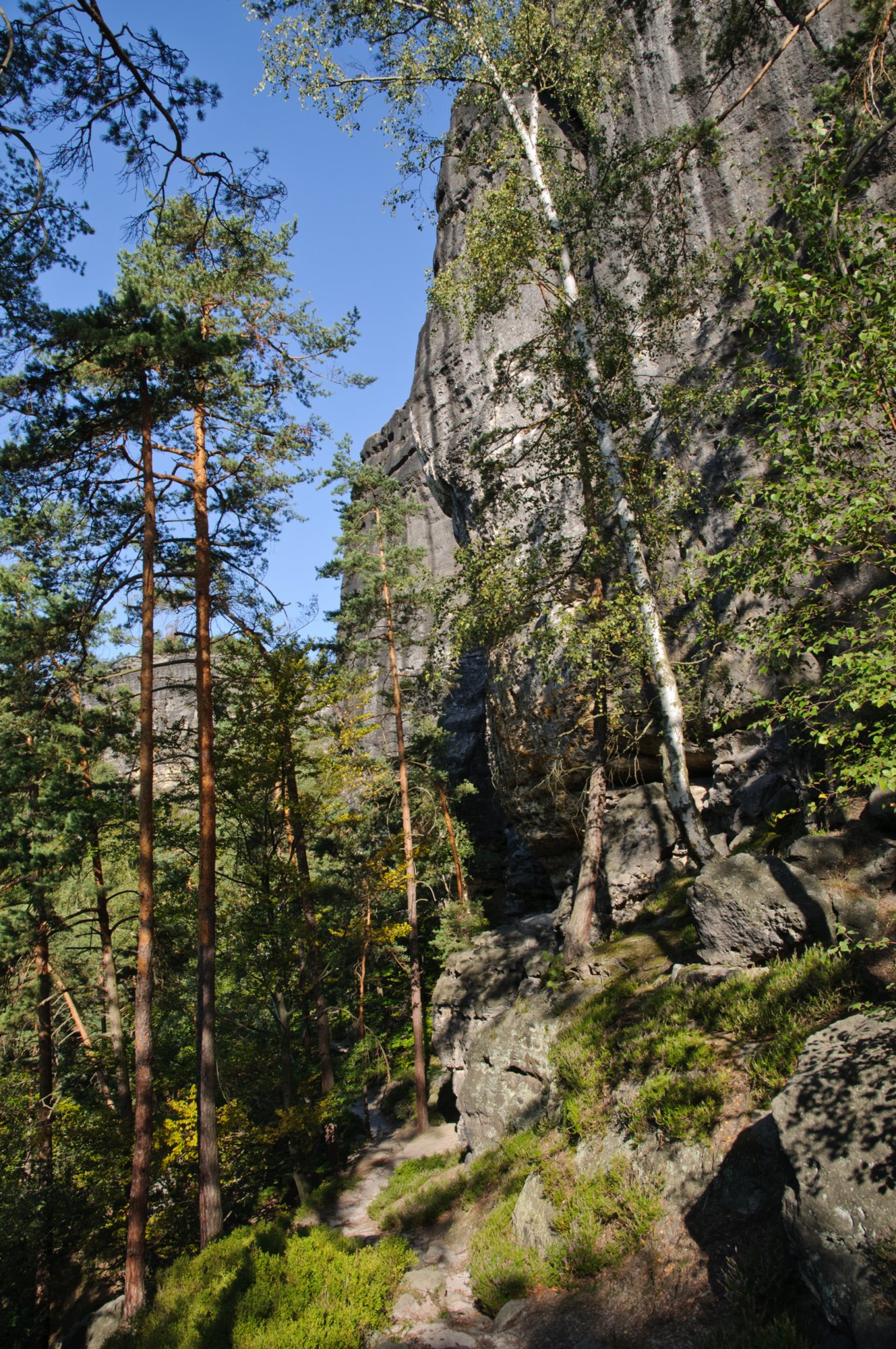 Wanderung zum Hinteren Raubschloß Wanderung über den Goldsteig und den Großen Winterberg zum Hinteren Raubschloss: Neumannssmühle - Zeughaus - Goldsteig - Richtergrotte - Großer Winterberg - Hinteres Raubschloss (Winterstein) - Neumannmühle. Weniger ein Steig ist der Goldsteig eigentlich mehr ein Höhenweg, der sich unterhalb des Goldsteins beginnend ohne große Höhenunterschiede bis hin zur Richtergrotte immer am Felsmassiv entlang schlängelt. Zwischendurch bieten sich immer wieder schöne Blicke und finden sich idyllische Plätzchen. http://www.wanderpfade.de