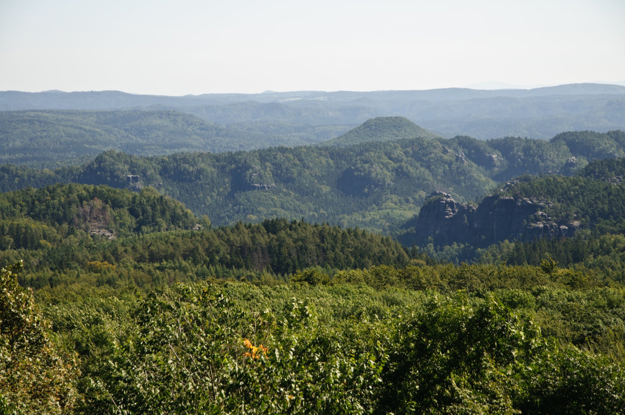 Wanderung zum Hinteren Raubschloß Wanderung über den Goldsteig und den Großen Winterberg zum Hinteren Raubschloss: Neumannssmühle - Zeughaus - Goldsteig - Richtergrotte - Großer Winterberg - Hinteres Raubschloss (Winterstein) - Neumannmühle. Großer Winterberg Vom Aussichtsturm ist ein weiter Rundblick über die einsamen Wald-Felslandschaften der Sächsischen und Böhmischen Schweiz möglich. Im Osten schweift der Blick über die markanten Kegelformen der Berge im Lausitzer Gebirge bis zu der über 90 km entfernten Silhouette von Iser- und Riesengebirge. Nach Südwesten breitet sich die flachwellige Hochfläche des Erzgebirges aus, im Süden zeigt sich die Berglandschaft des Böhmischen Mittelgebirges mit dem schroffen Milesovka (Milleschauer). Nach Nordwesten blickt man über das Elbtal hinweg bis zum Collmberg bei Oschatz. Quelle: http://de.wikipedia.org/wiki/Großer_Winterberg