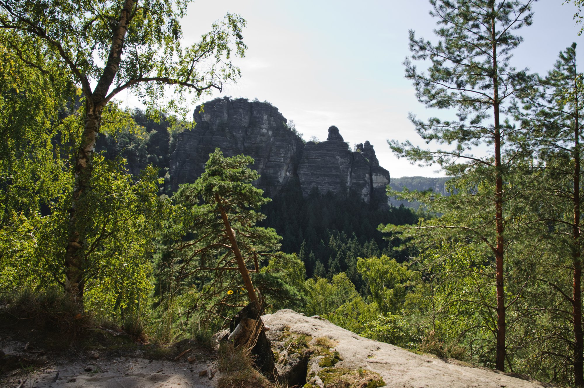 Wanderung zum Hinteren Raubschloß Wanderung über den Goldsteig und den Großen Winterberg zum Hinteren Raubschloss: Neumannssmühle - Zeughaus - Goldsteig - Richtergrotte - Großer Winterberg - Hinteres Raubschloss (Winterstein) - Neumannmühle.