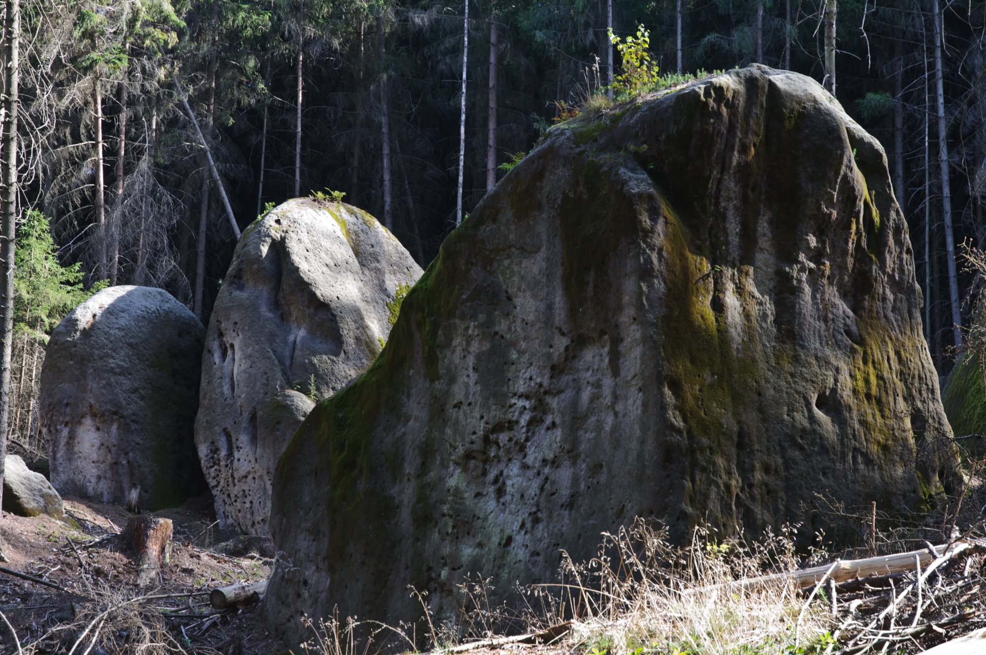 Wanderung zum Hinteren Raubschloß Wanderung über den Goldsteig und den Großen Winterberg zum Hinteren Raubschloss: Neumannssmühle - Zeughaus - Goldsteig - Richtergrotte - Großer Winterberg - Hinteres Raubschloss (Winterstein) - Neumannmühle.