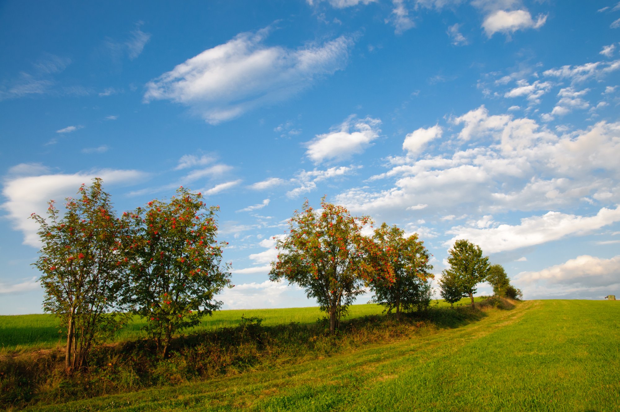 Hinterhermsdorf 