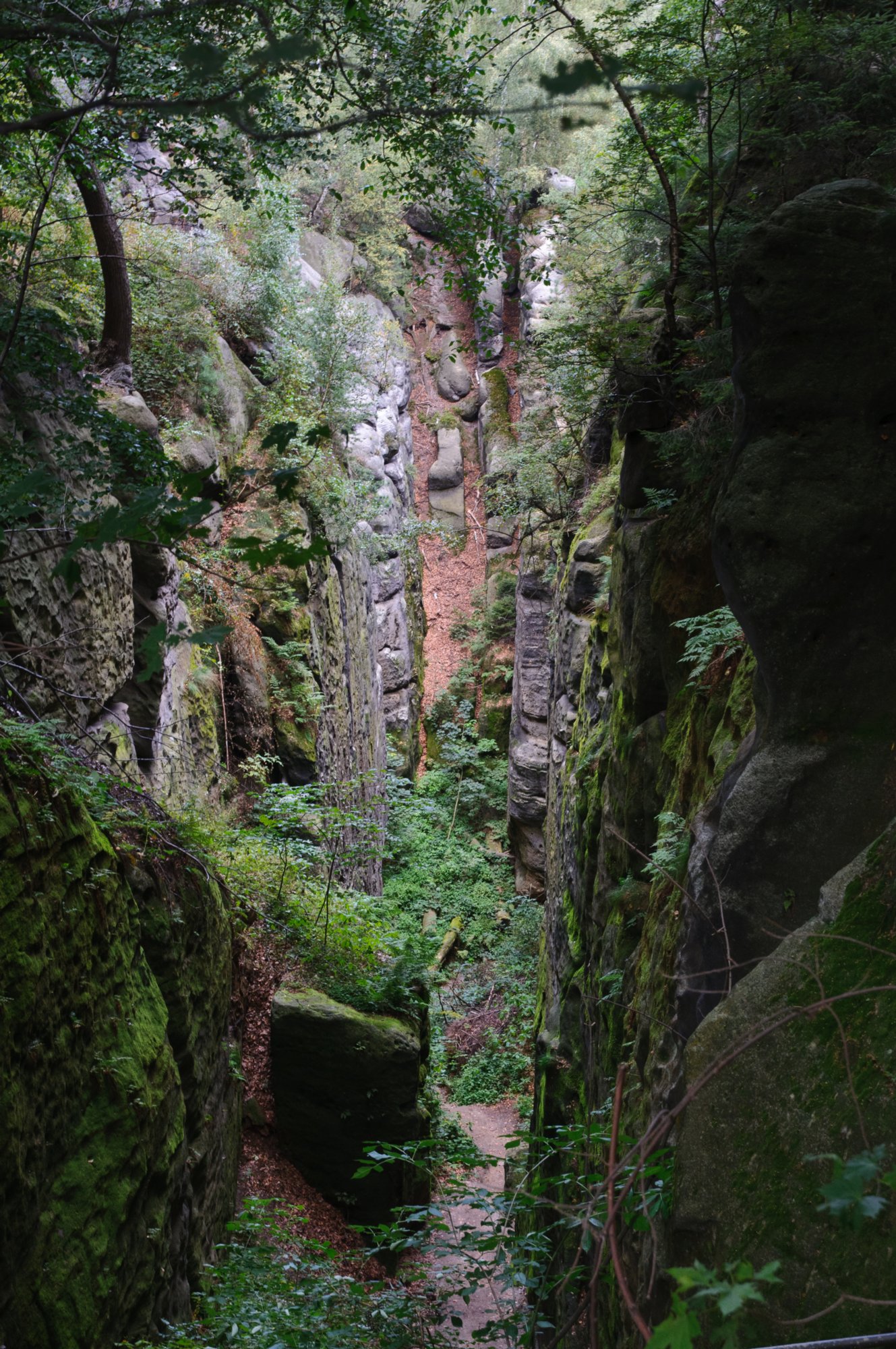 Wanderung zum Kuhstall Wanderung vom Lichtenhainer Wasserfall zum Kuhstall und wieder zurück über das Kirnitzschtal.