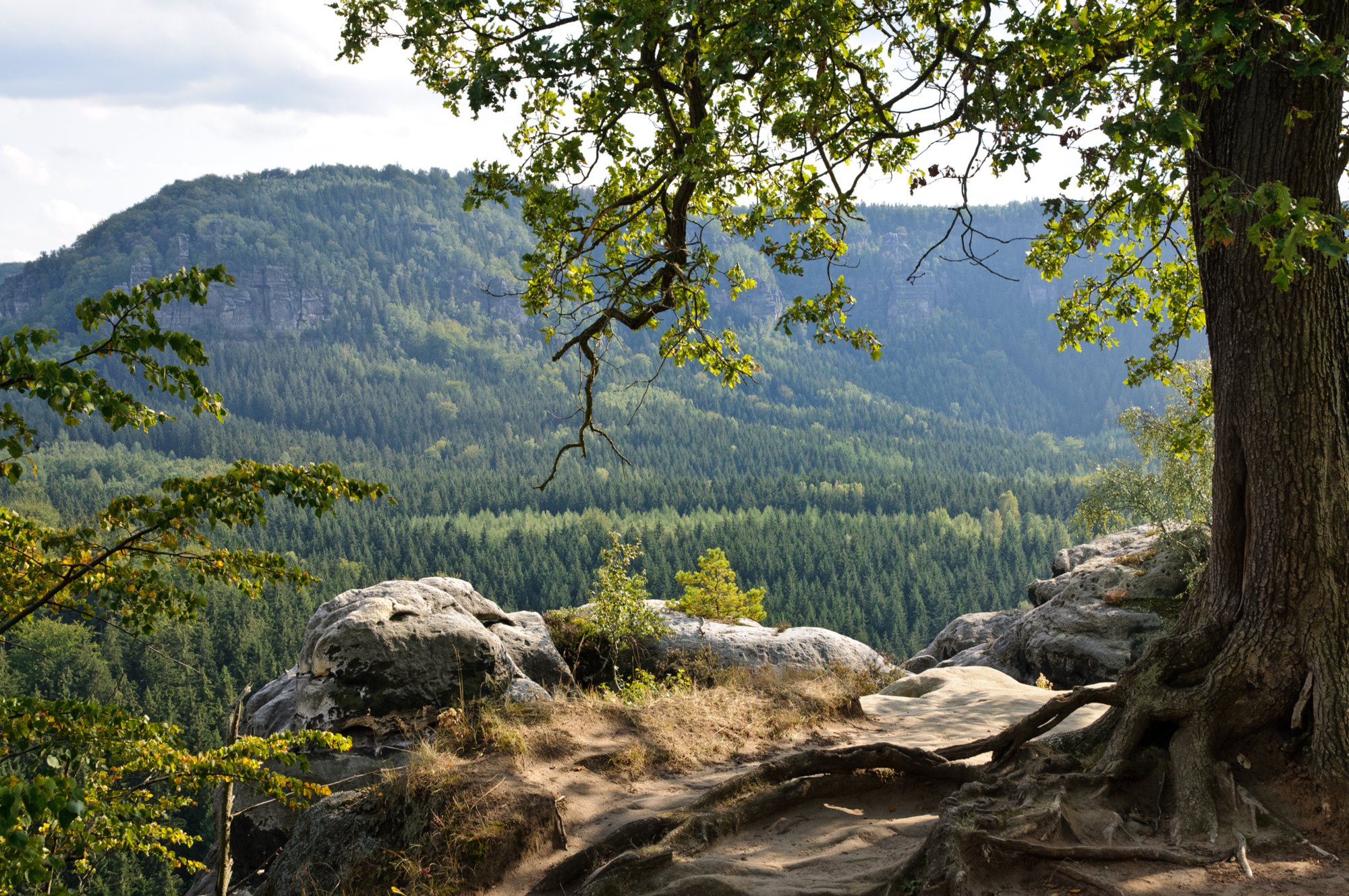 Wanderung zum Kuhstall Wanderung vom Lichtenhainer Wasserfall zum Kuhstall und wieder zurück über das Kirnitzschtal.