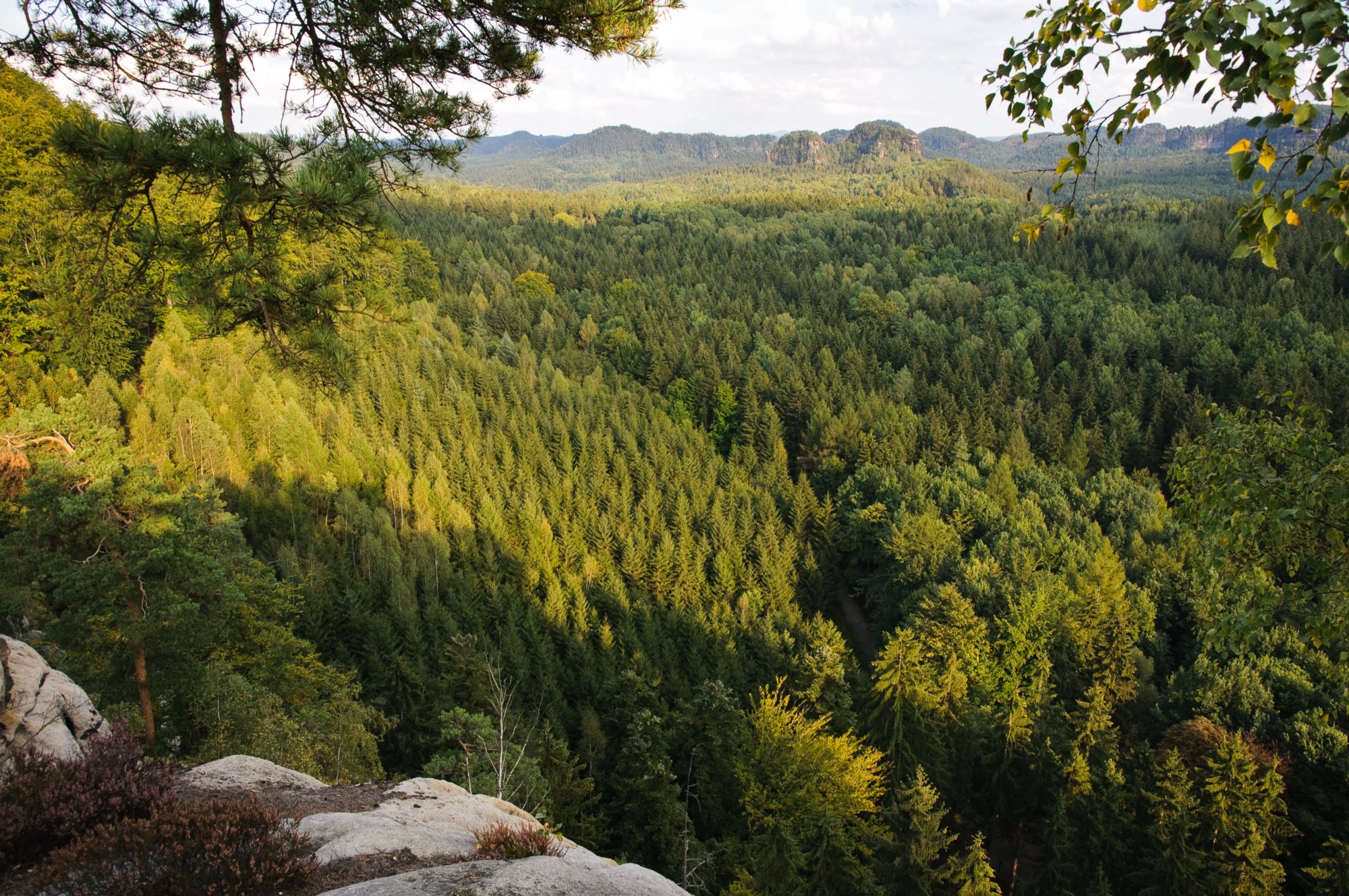 Wanderung zum Kuhstall Wanderung vom Lichtenhainer Wasserfall zum Kuhstall und wieder zurück über das Kirnitzschtal.