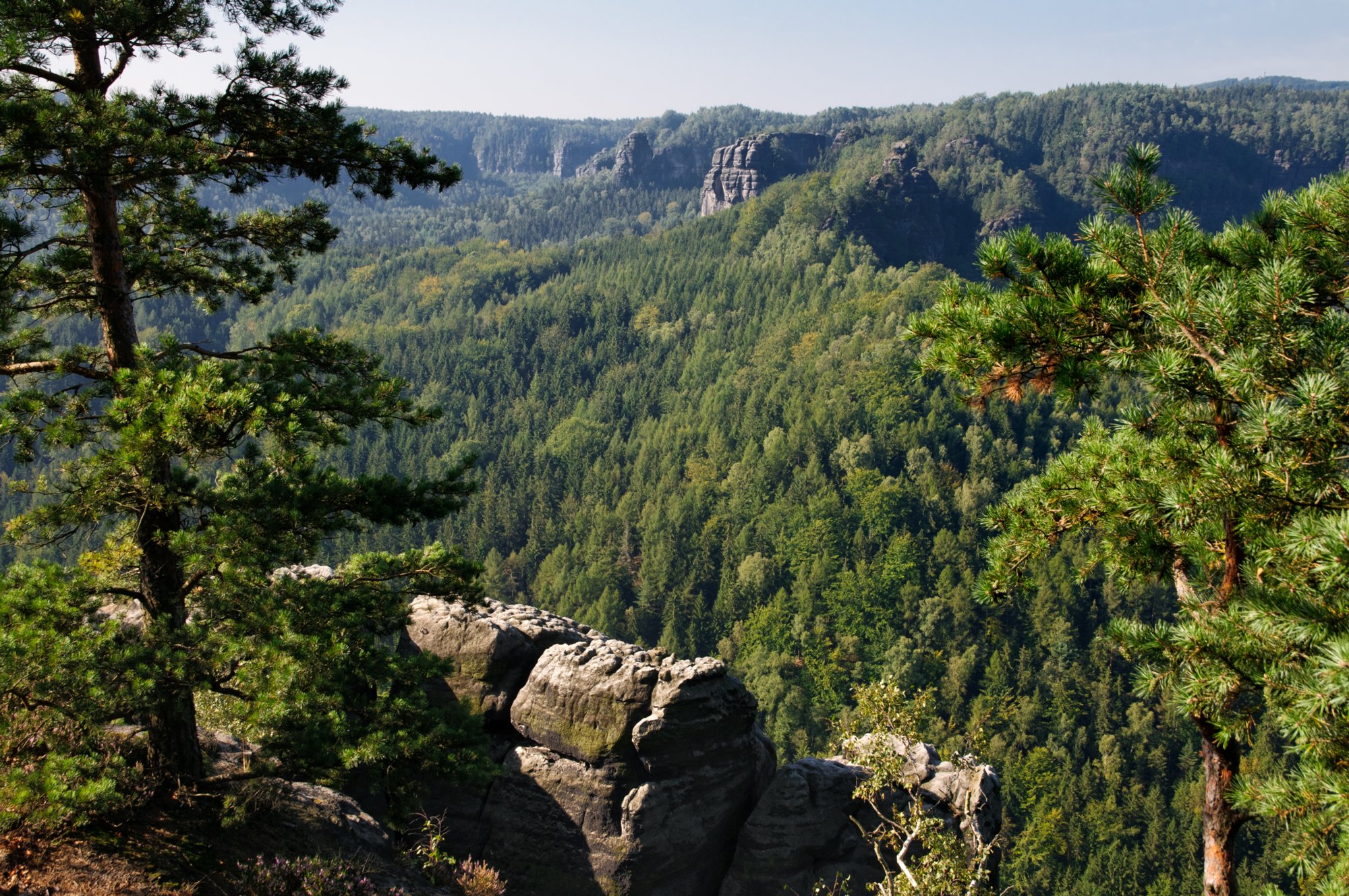 Teichsteinwanderung Auf alten Wanderwegen zum Teichstein: Buschmühle - Buschmüllers Räumicht - Neustelliger Hübel - Teichstein - Bärenfang - Zeuhaus - Buschmühle. Blick in den Großen Zschand. Unterhalb des Gipfels befindet sich das Zeughaus. Oberhalb des Zeughauses befindet sich der Goldstein.