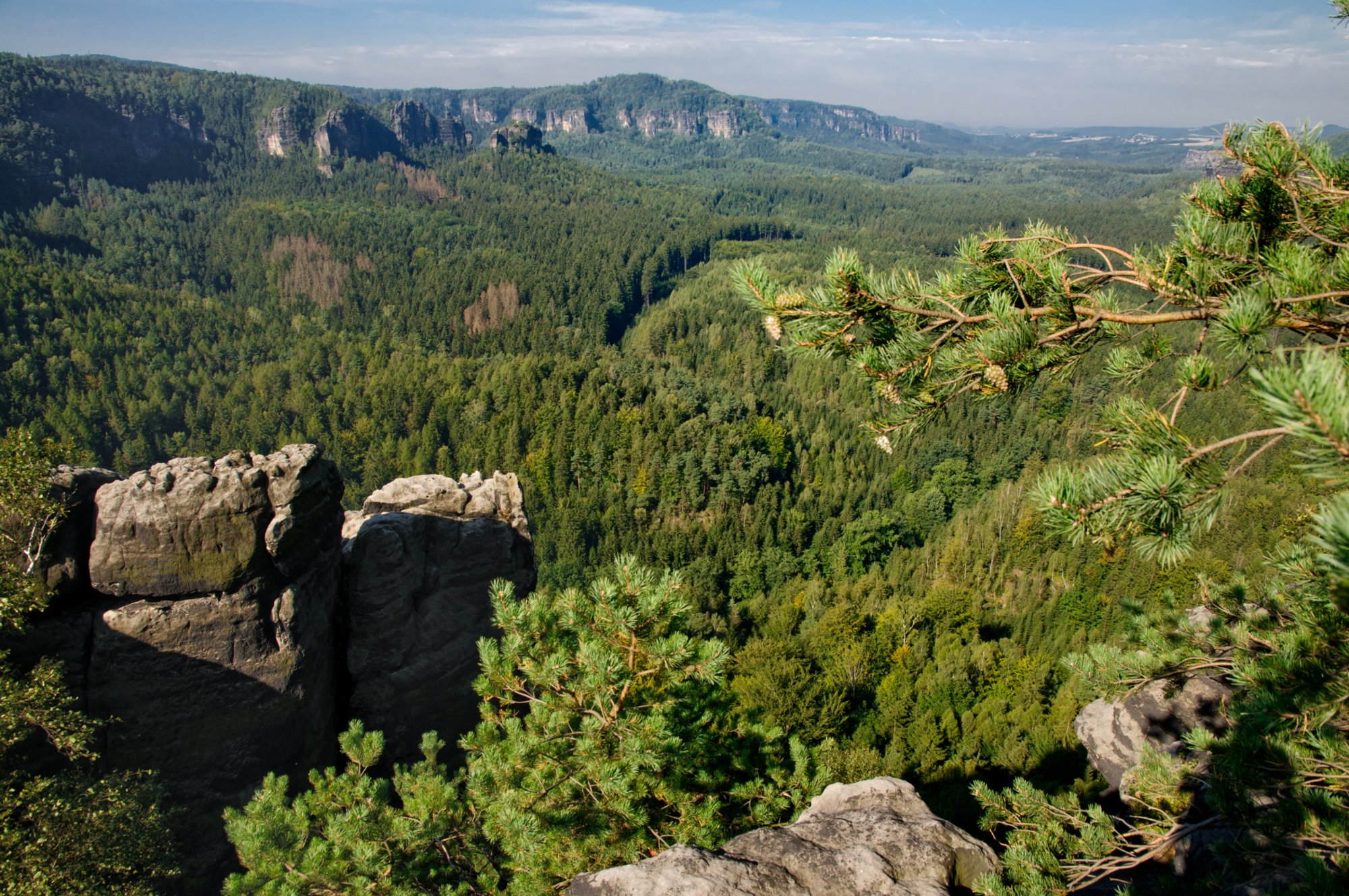 Teichsteinwanderung Auf alten Wanderwegen zum Teichstein: Buschmühle - Buschmüllers Räumicht - Neustelliger Hübel - Teichstein - Bärenfang - Zeuhaus - Buschmühle. Von rechts nach links: Kleiner Winterberg, Hinteres Raubschloss. Hinter dem Hinteren Raubschloss sind die Bärenfangwände