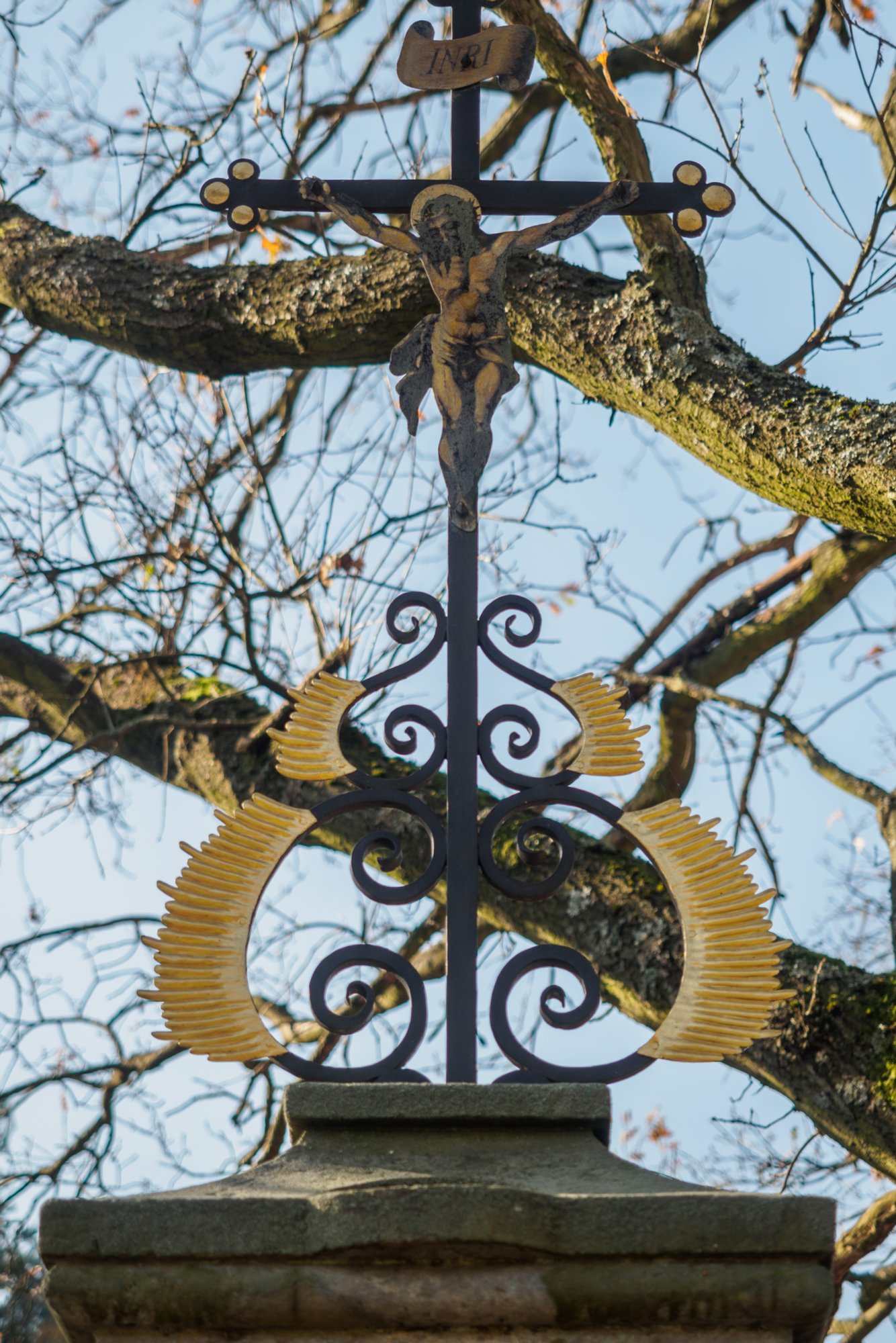 Knorrige Eiche mit Wegkreuz Auf dem Weg von Dittersbach zum Jubiläumsweg. Knorrige Eiche mit Wegkreuz. Wanderung von Dittersbach über den Jubiläumsweg zum Rudolfstein. Von dort über die Wilhelminenwand und den Marienfelsen zurück nach Dittersbach.