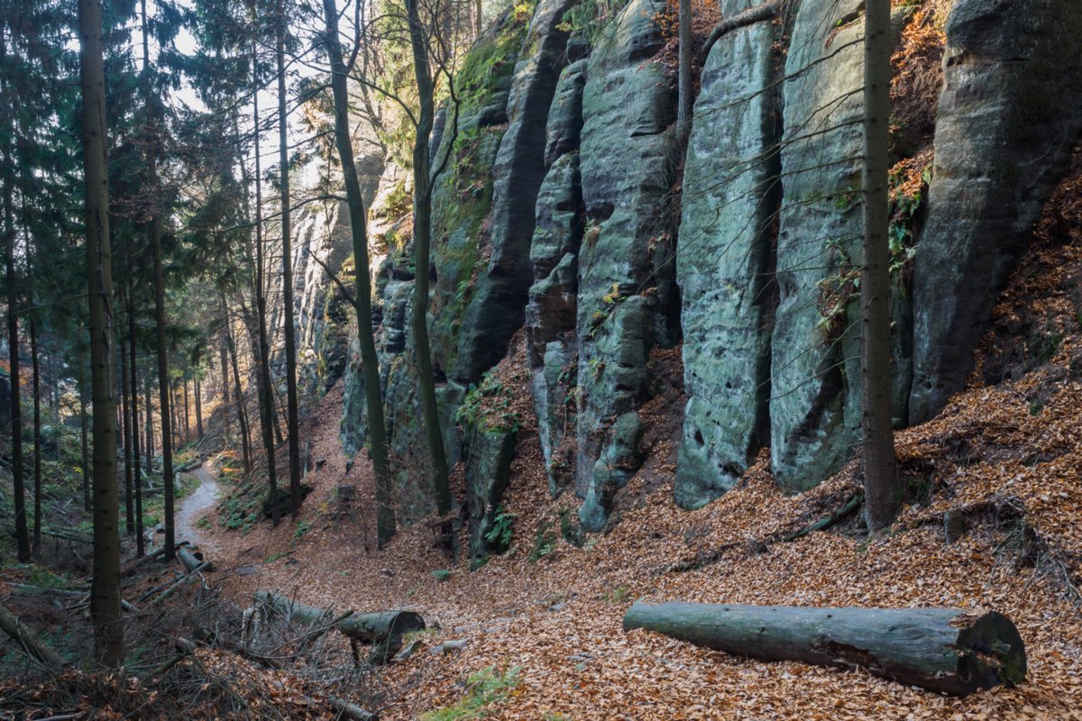 Schluchtweg Aufstieg durch Schlucht auf dem Weg von Dittersbach zum Jubiläumsweg. Wanderung von Dittersbach über den Jubiläumsweg zum Rudolfstein. Von dort über die Wilhelminenwand und den Marienfelsen zurück nach Dittersbach.