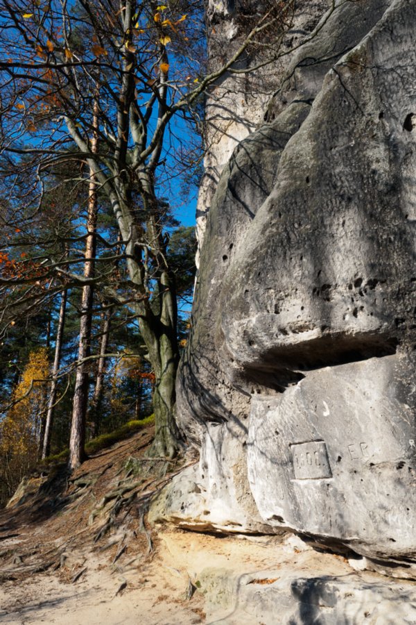 Jubiläumsweg Auf dem Jubiläumsweg, der sich als Pfad in halber Höhe um den Gohlischt zieht. Der Weg wurde 1908 zum Gedenken an das 60. Jubiläum der Regierungszeit von Kaiser Franz Josef I. angelegt. Wanderung von Dittersbach über den Jubiläumsweg zum Rudolfstein. Von dort über die Wilhelminenwand und den Marienfelsen zurück nach Dittersbach.