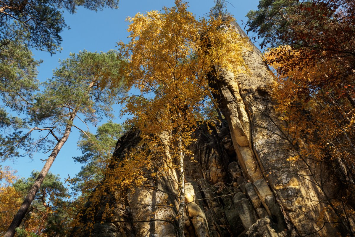 Jubiläumsweg Auf dem Jubiläumsweg, der sich als Pfad in halber Höhe um den Gohlischt zieht. Wanderung von Dittersbach über den Jubiläumsweg zum Rudolfstein. Von dort über die Wilhelminenwand und den Marienfelsen zurück nach Dittersbach.