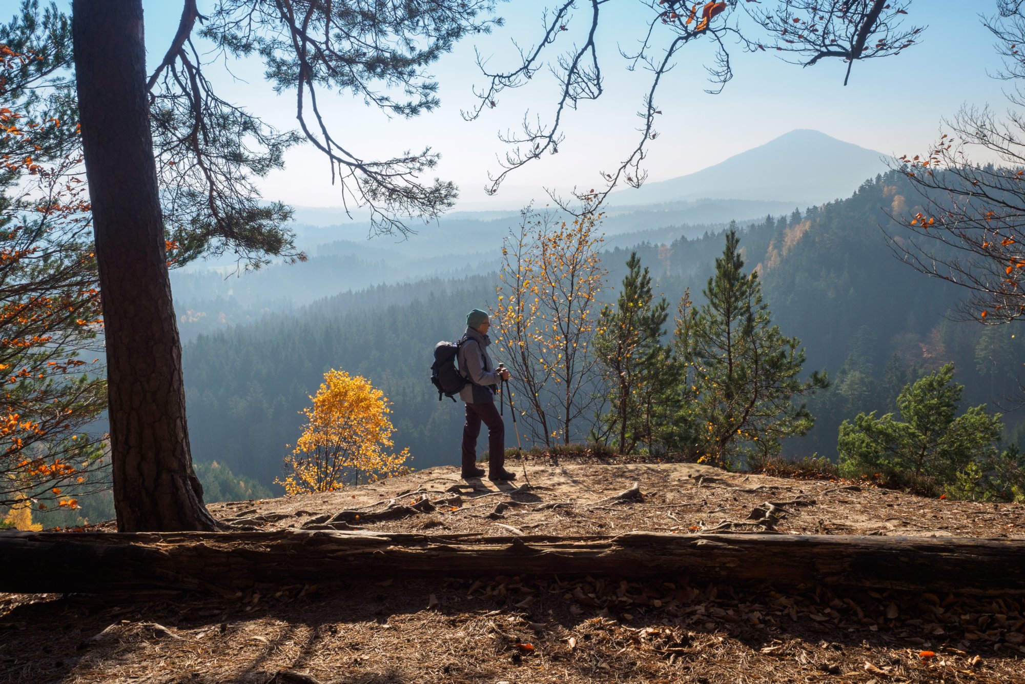 Jubiläumsweg Blick zum Rosenberg. Auf dem Jubiläumsweg, der sich als Pfad in halber Höhe um den Gohlischt zieht. Wanderung von Dittersbach über den Jubiläumsweg zum Rudolfstein. Von dort über die Wilhelminenwand und den Marienfelsen zurück nach Dittersbach.