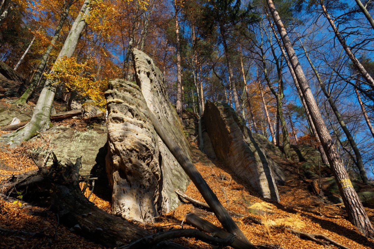 Jubiläumsweg Auf dem Jubiläumsweg, der sich als Pfad in halber Höhe um den Gohlischt zieht. Wanderung von Dittersbach über den Jubiläumsweg zum Rudolfstein. Von dort über die Wilhelminenwand und den Marienfelsen zurück nach Dittersbach.