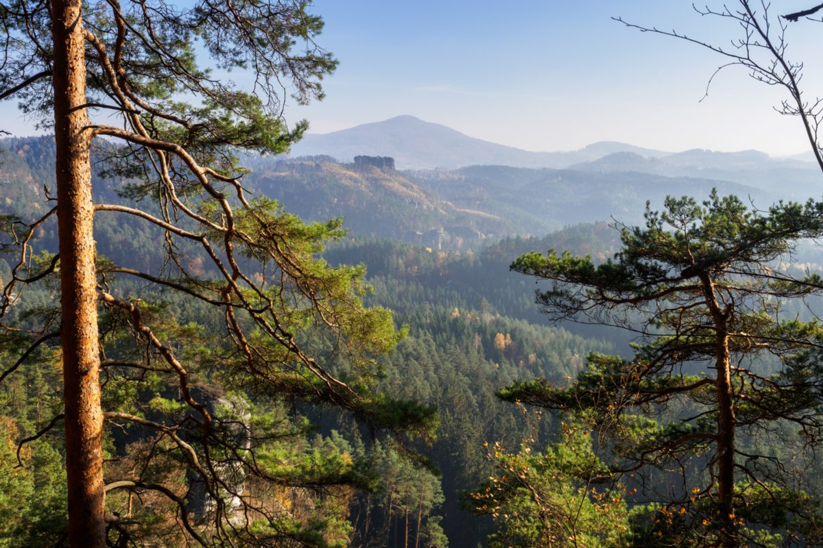 Jubiläumsweg Blick zum Marienfelsen und zum Falkenstein. Hinter dem Falkenstein erhebt sich der Kaltenberg. Auf dem Jubiläumsweg, der sich als Pfad in halber Höhe um den Gohlischt zieht. Wanderung von Dittersbach über den Jubiläumsweg zum Rudolfstein. Von dort über die Wilhelminenwand und den Marienfelsen zurück nach Dittersbach.