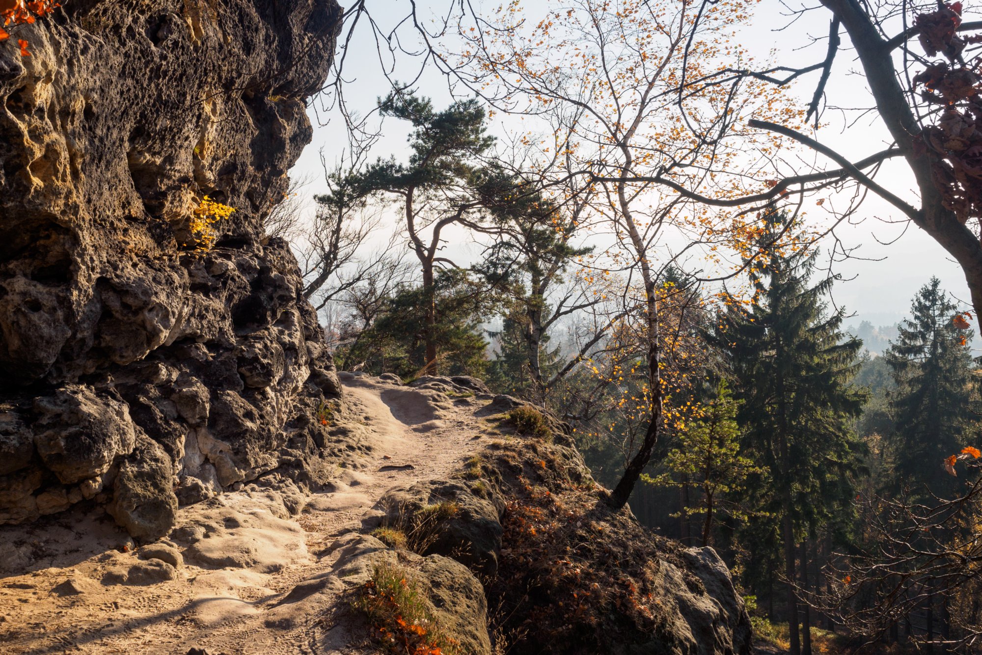 Rudolfstein Abstieg vom Rudolfstein. Wanderung von Dittersbach über den Jubiläumsweg zum Rudolfstein. Von dort über die Wilhelminenwand und den Marienfelsen zurück nach Dittersbach.