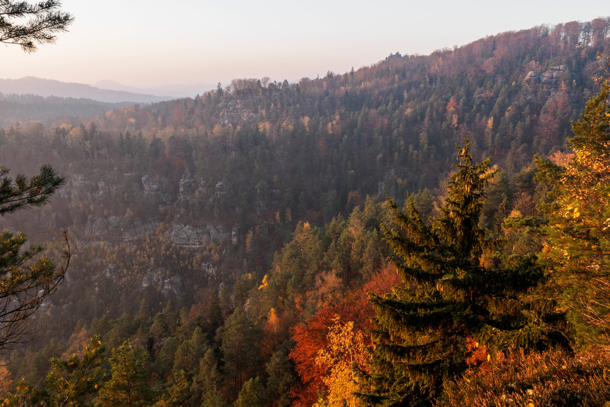 Wilhelminenwand Wilhelminenwand. Blick zum Rudolfstein. Wanderung von Dittersbach über den Jubiläumsweg zum Rudolfstein. Von dort über die Wilhelminenwand und den Marienfelsen zurück nach Dittersbach.