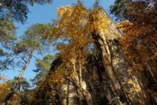 20151103_jubilaeumssteig_066