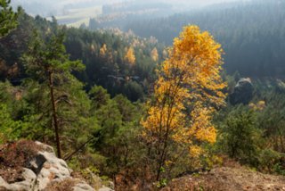 20151103_jubilaeumssteig_076